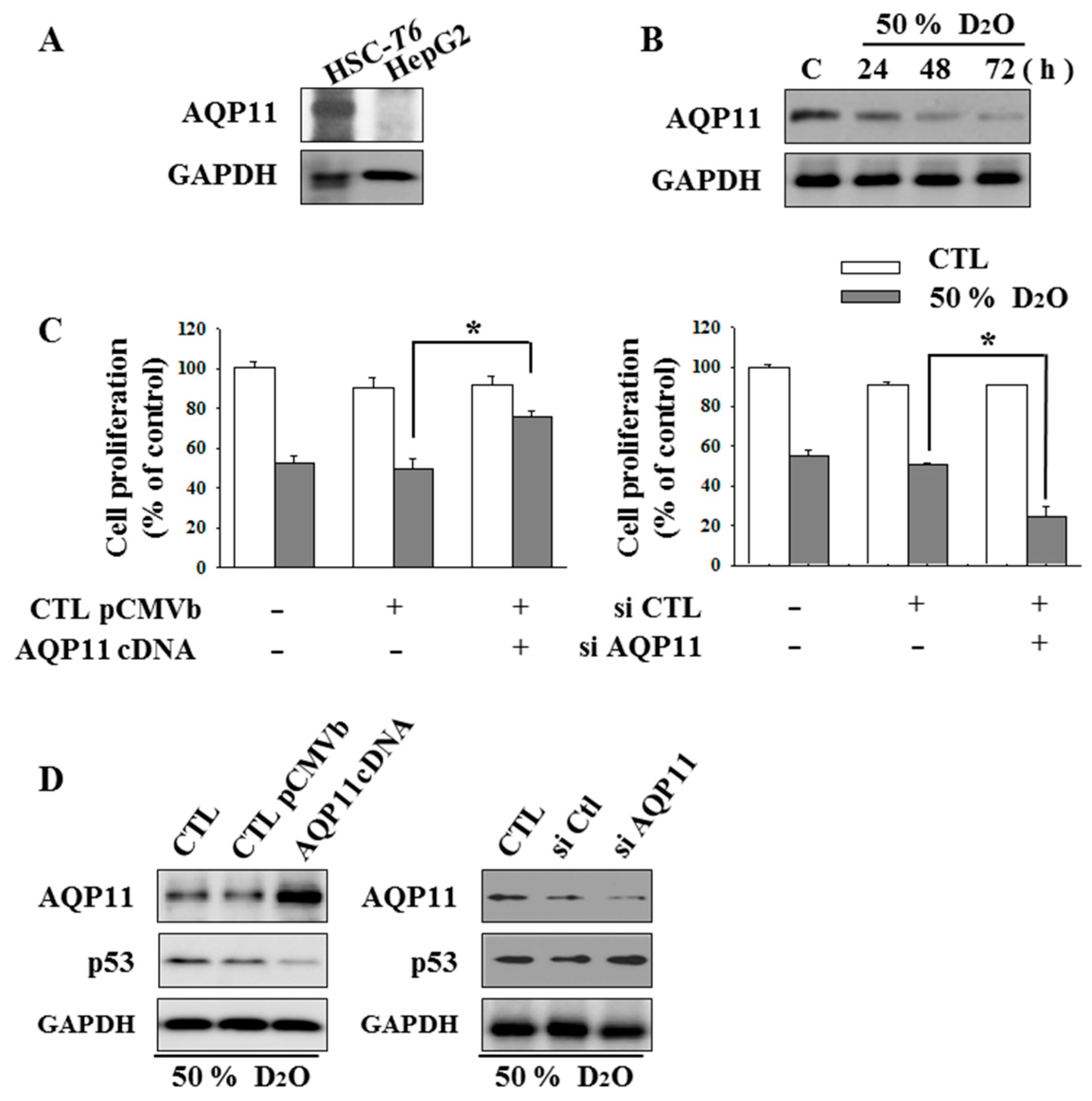 Molecules 23 03209 g002 Molecules 23 03209 g002