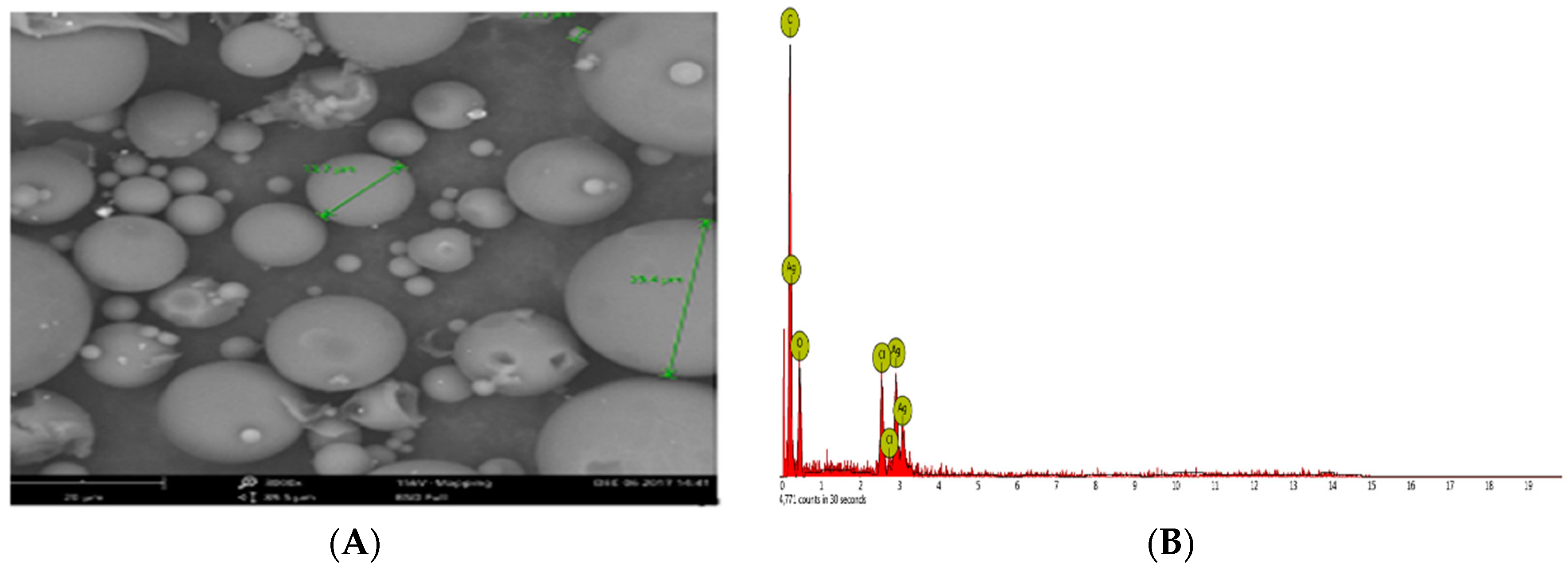 Molecules 23 03220 g005 Molecules 23 03220 g005