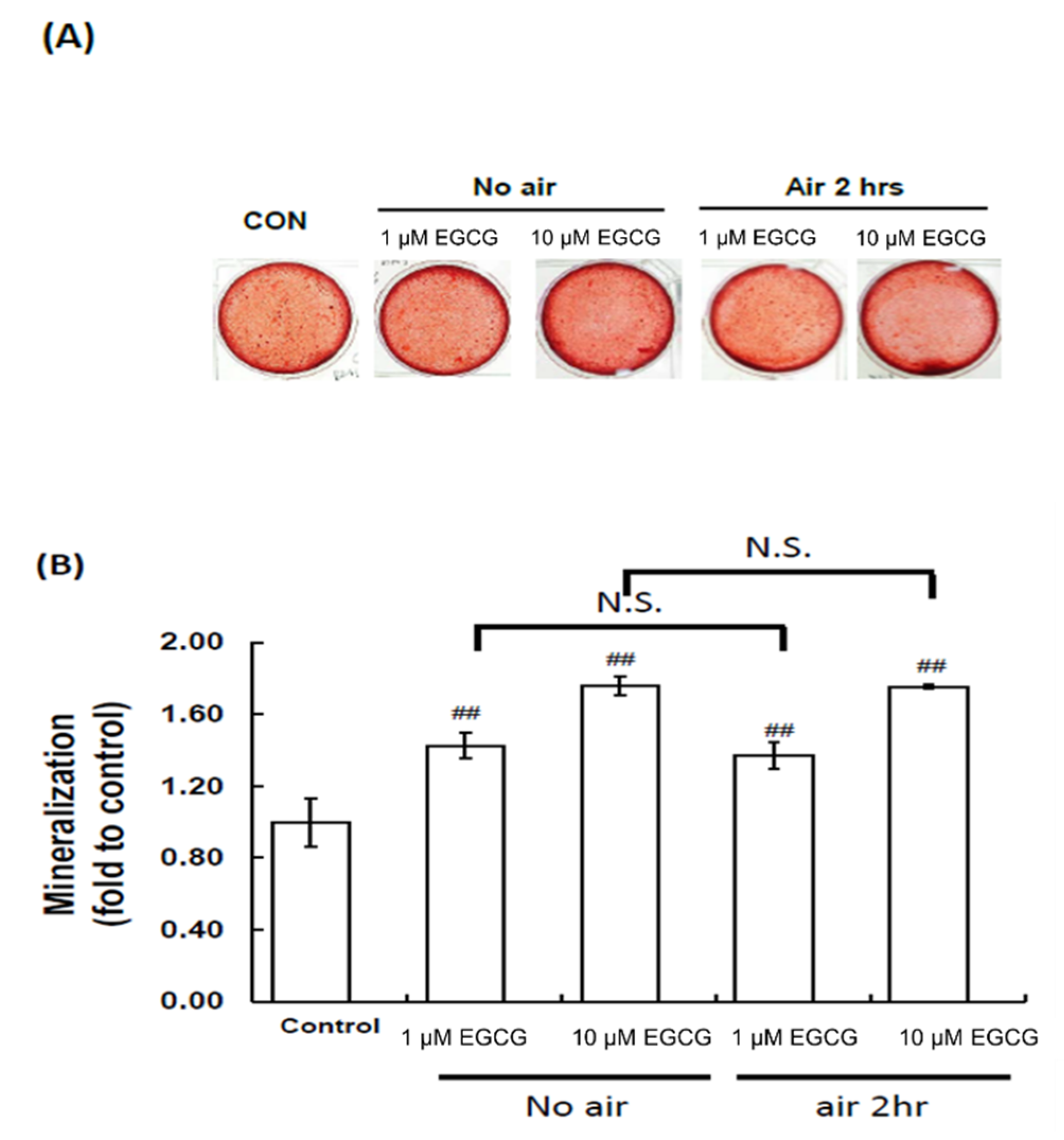 Molecules 23 03221 g004 Molecules 23 03221 g004