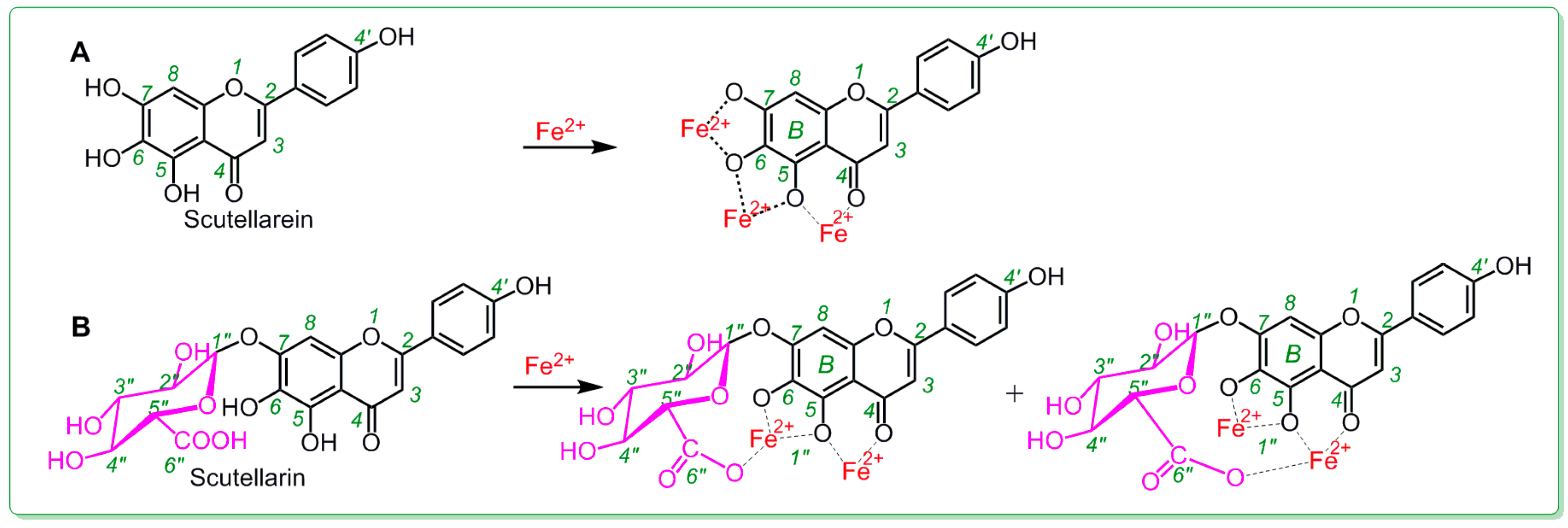 Molecules 23 03225 g006
