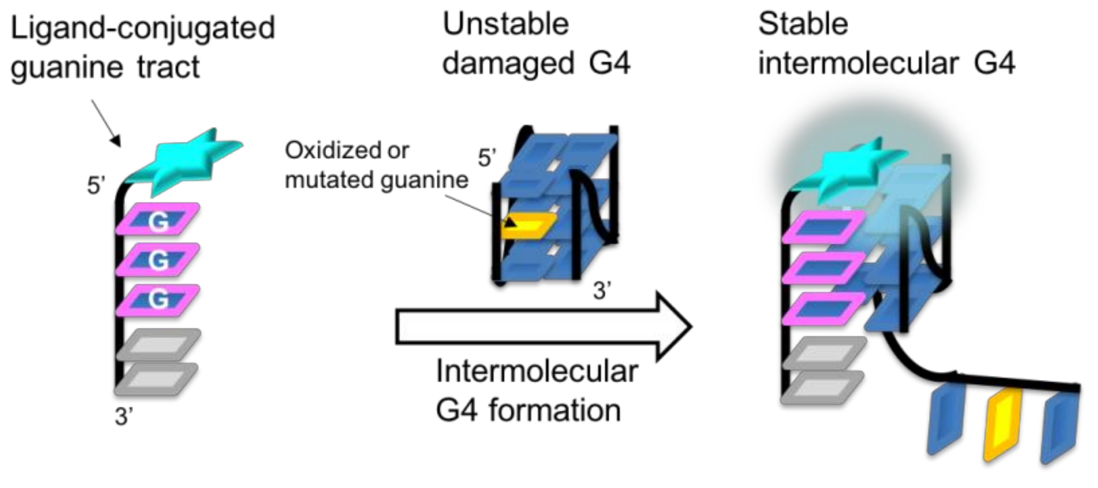 Molecules 23 03228 g001 Molecules 23 03228 g001