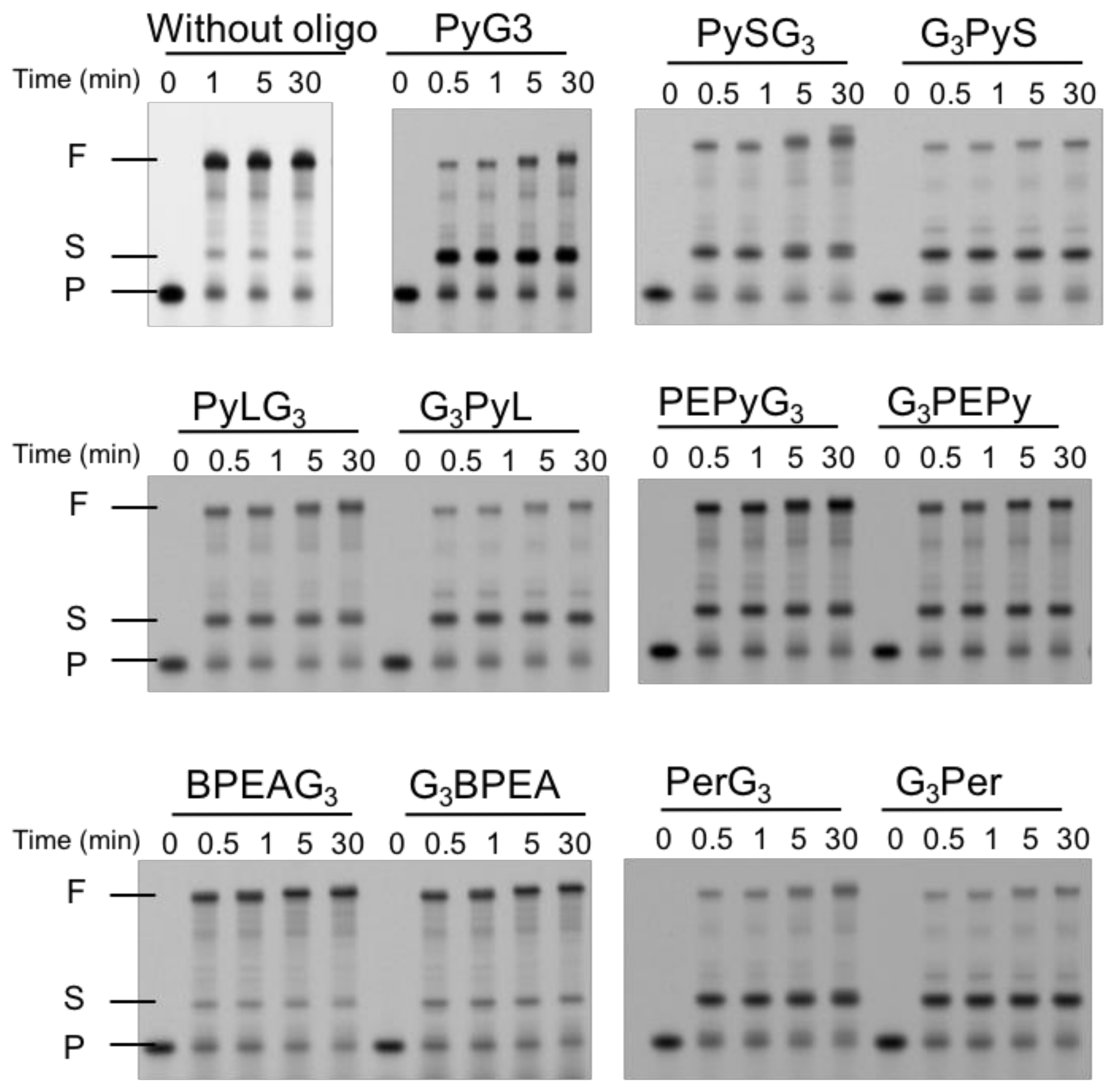 Molecules 23 03228 g007 Molecules 23 03228 g007