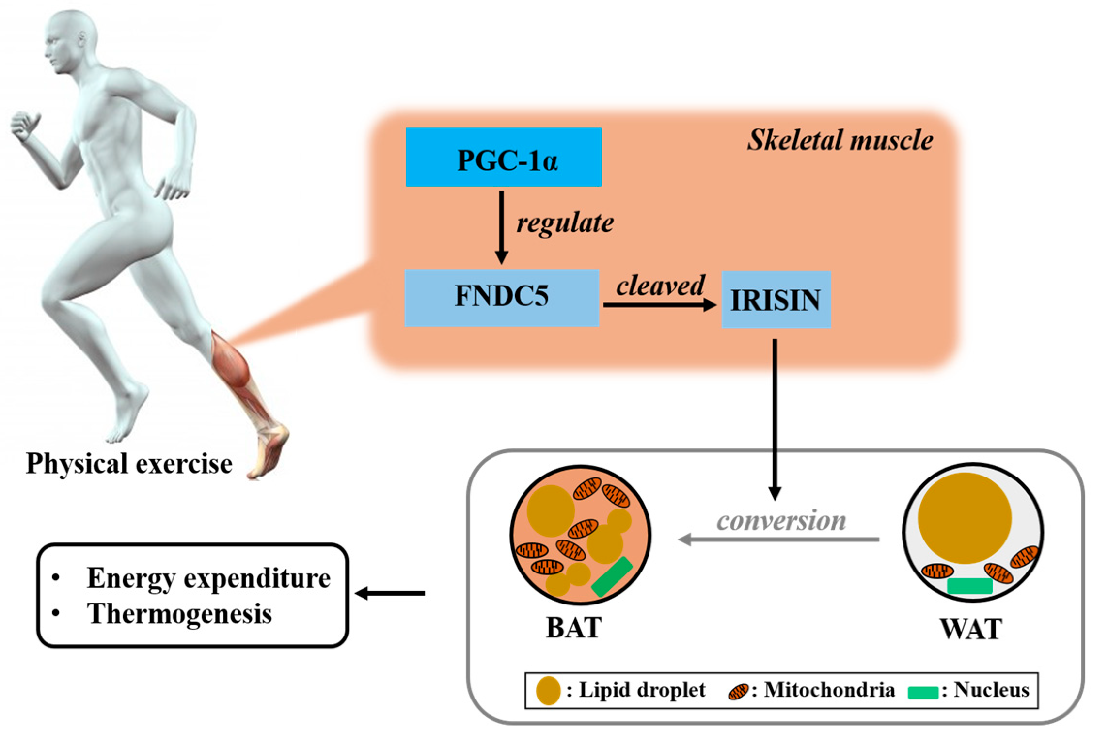 Molecules 23 03229 g001 Molecules 23 03229 g001