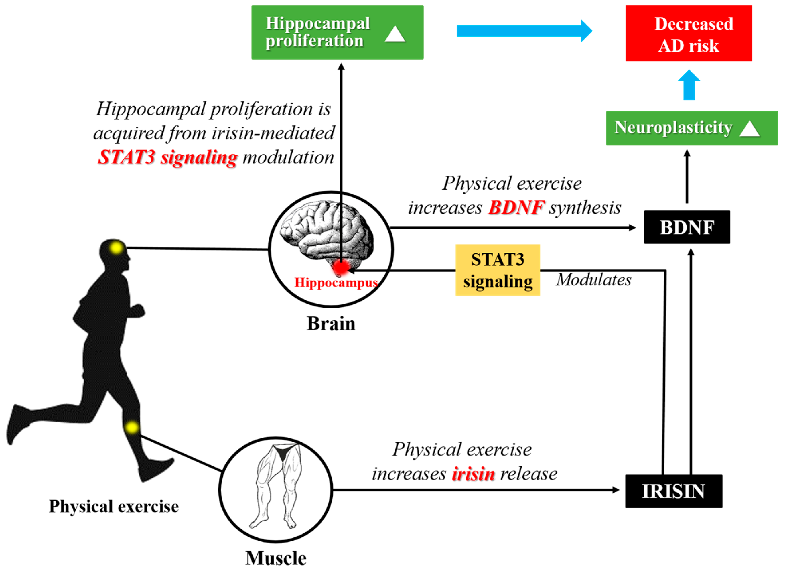 Molecules 23 03229 g002 Molecules 23 03229 g002