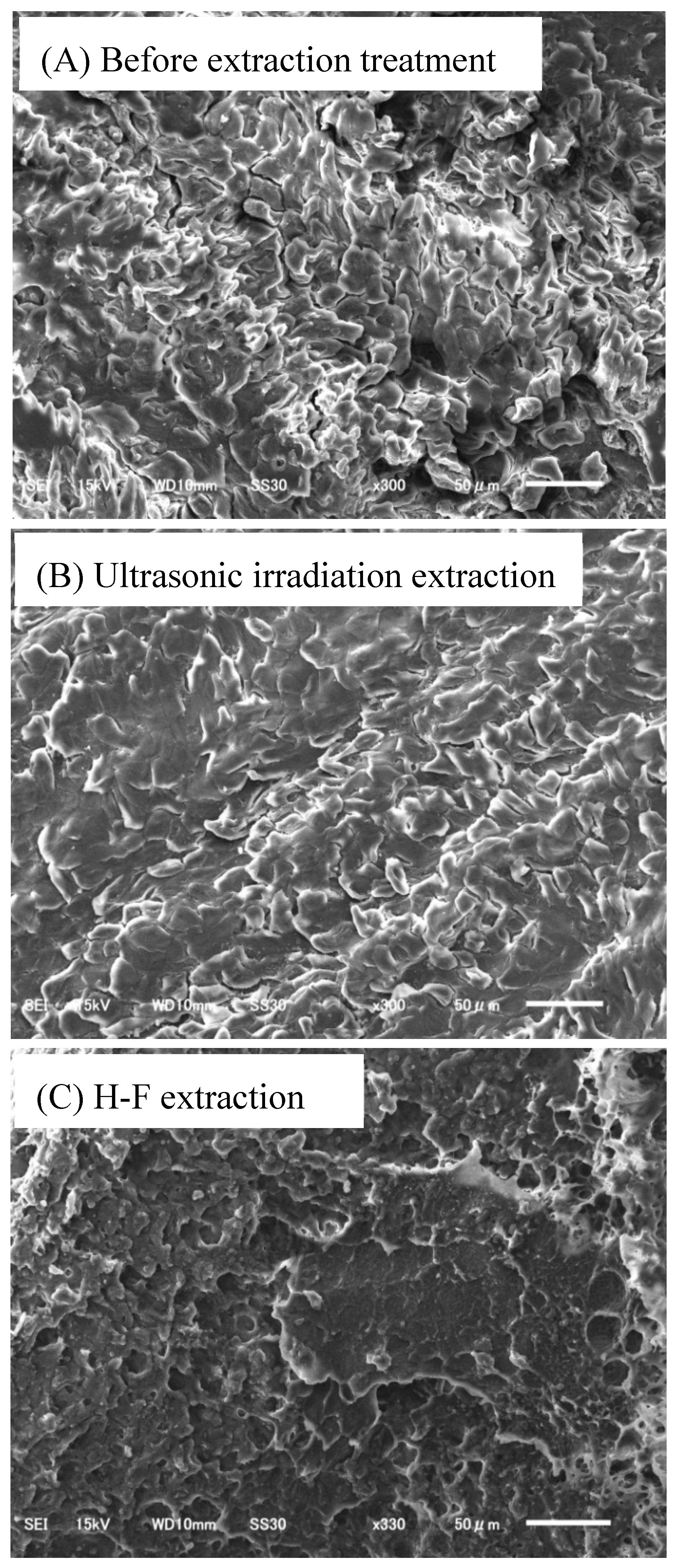 Molecules 23 03231 g002 Molecules 23 03231 g002