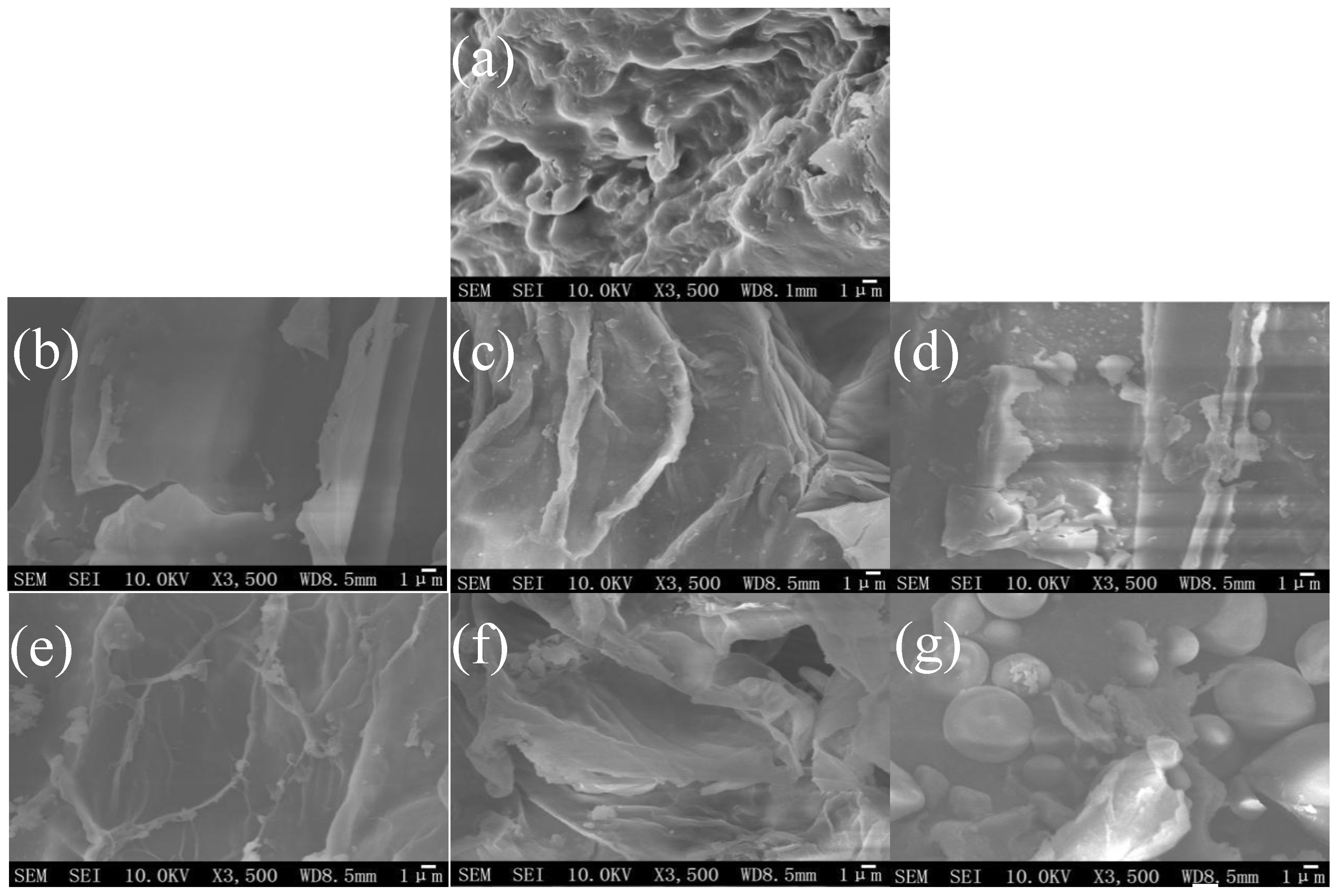 Molecules 23 03233 g003 550