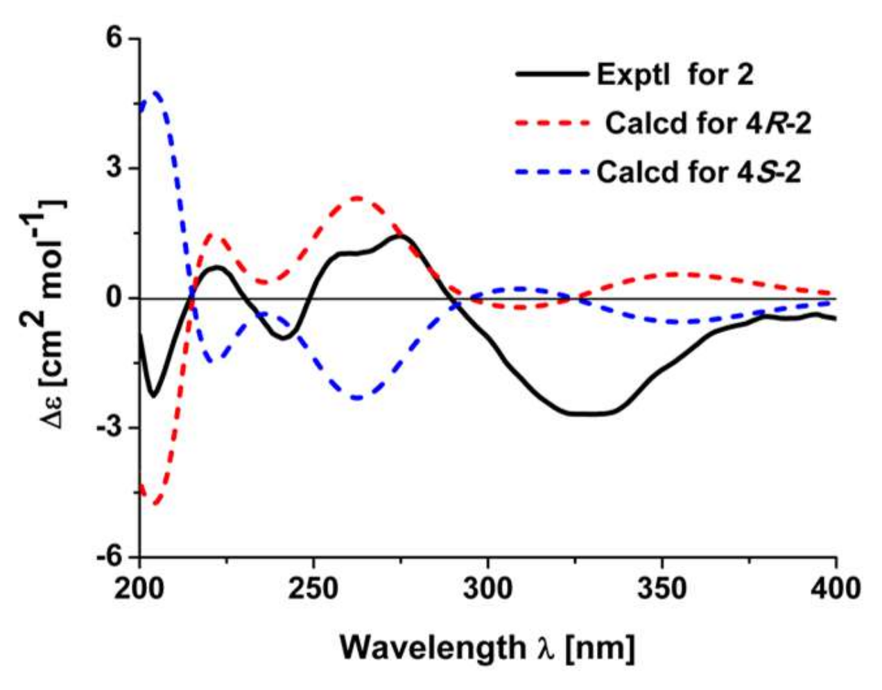 Molecules 23 03239 g004 Molecules 23 03239 g004