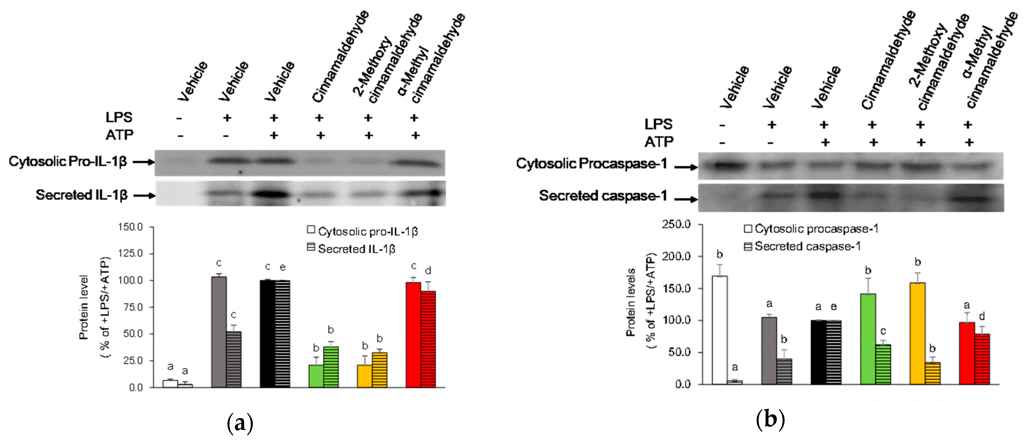 Molecules 23 03241 g006 Molecules 23 03241 g006