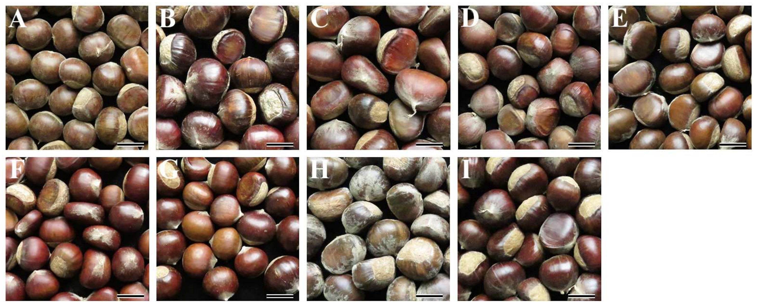 Molecules 23 03248 g001