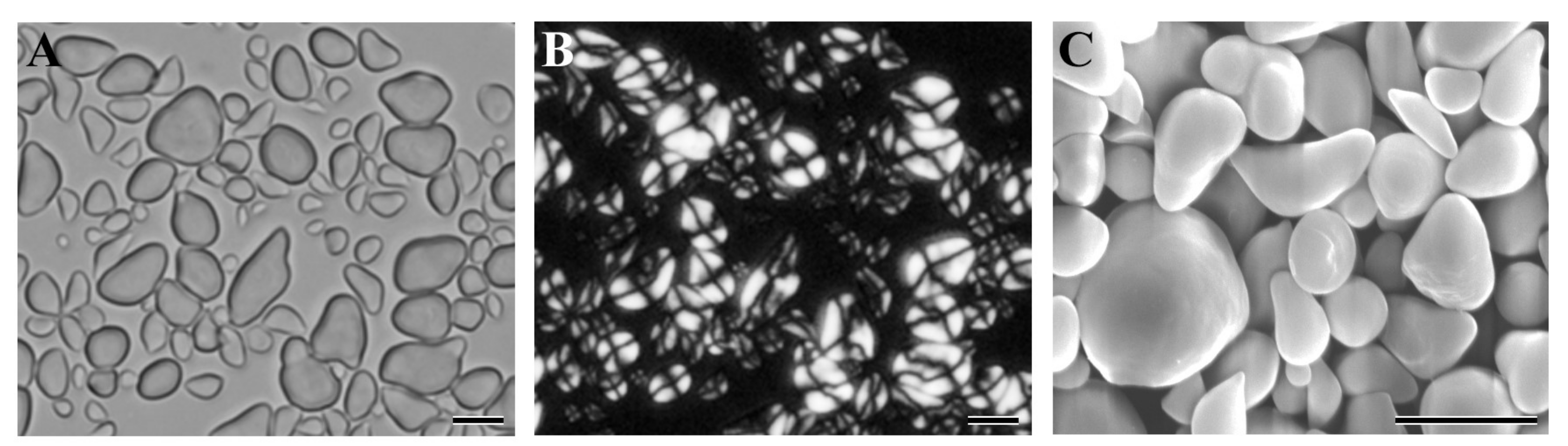 Molecules 23 03248 g002