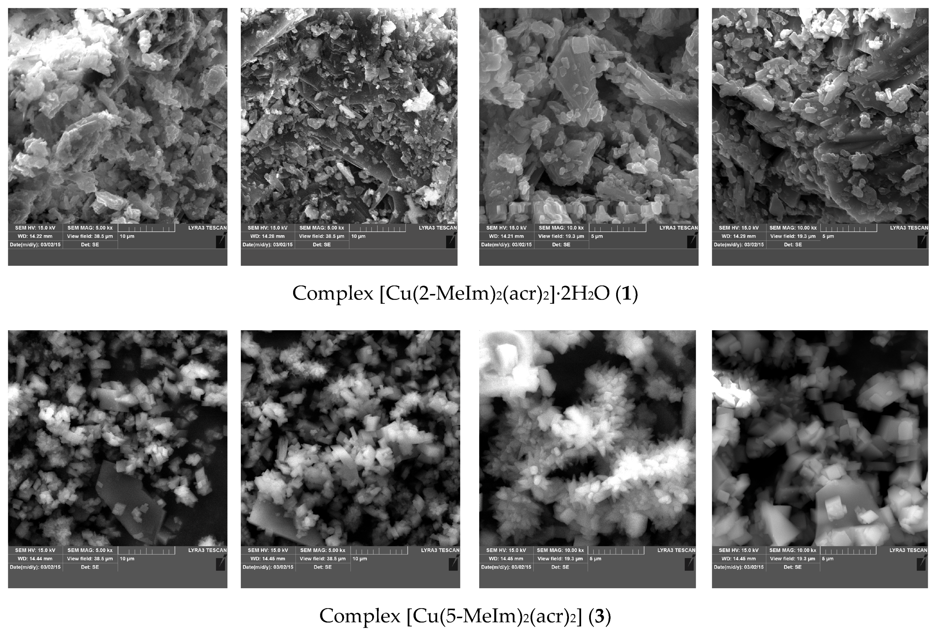 Molecules 23 03253 g005