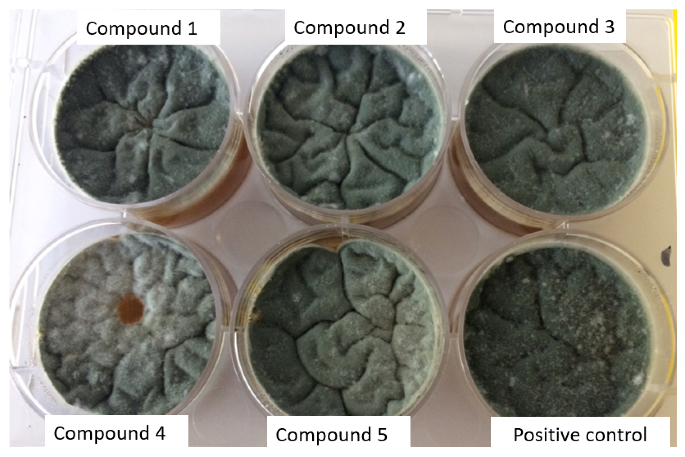 Molecules 23 03253 g008