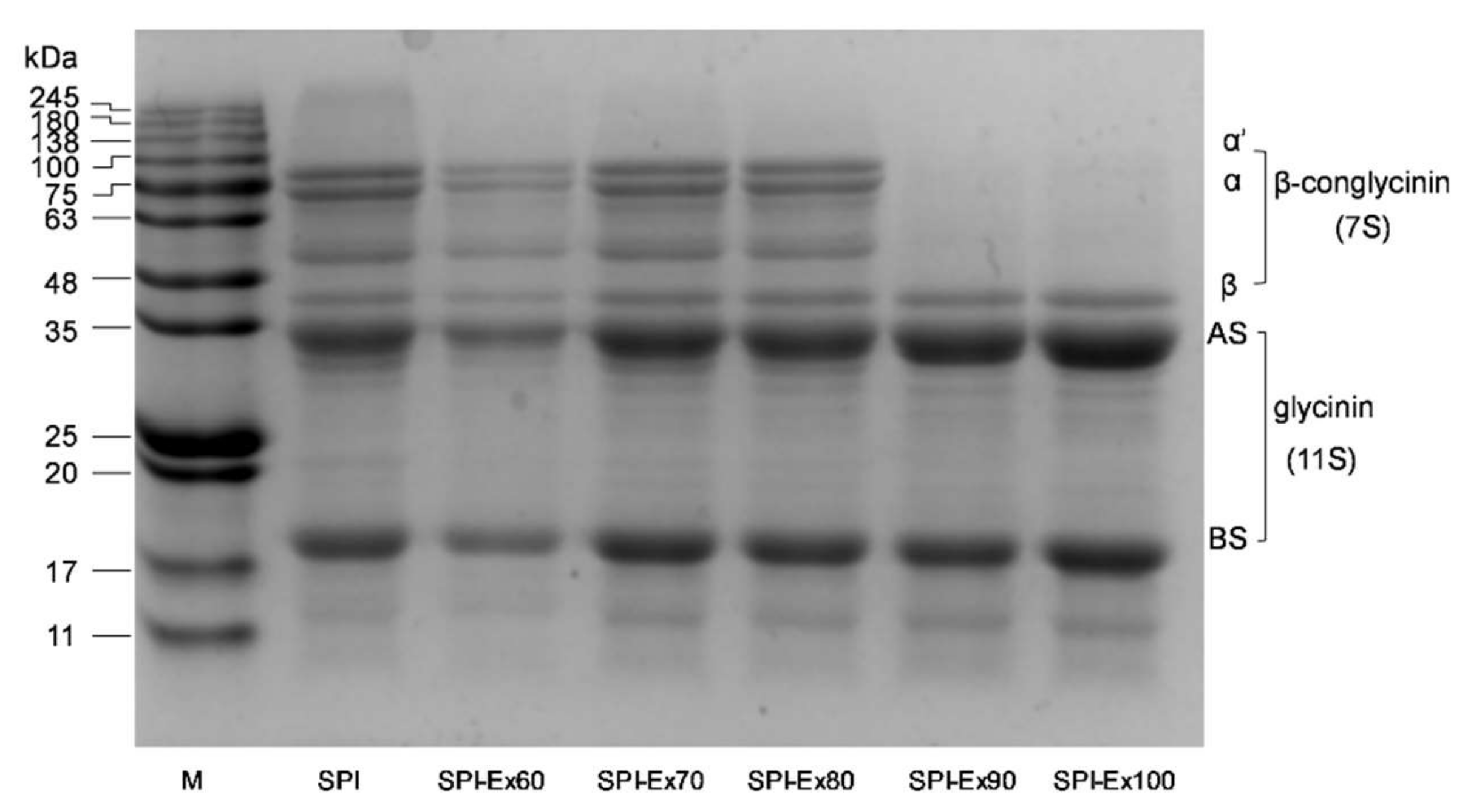 Molecules 23 03265 g002