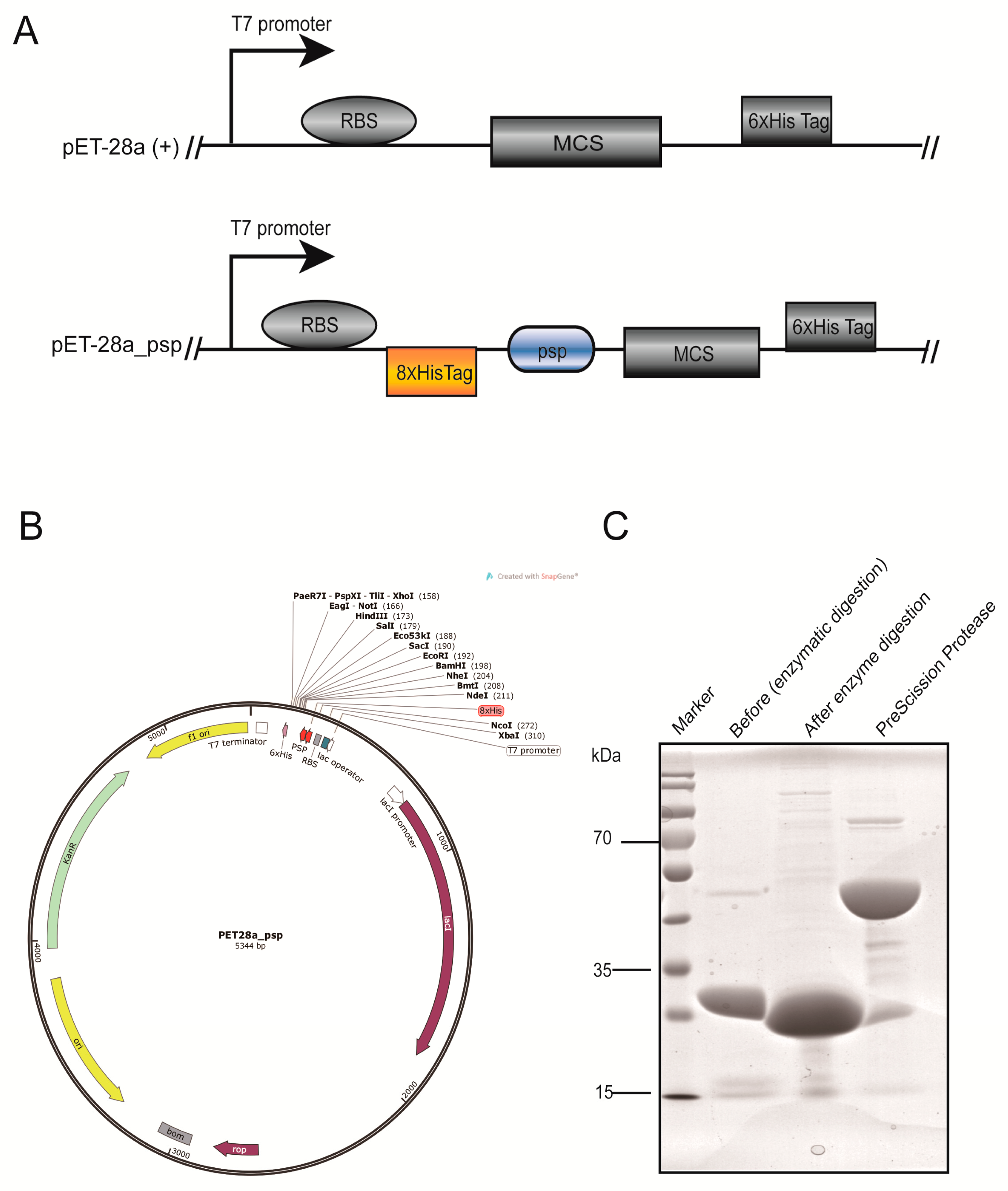 Molecules 23 03281 g002