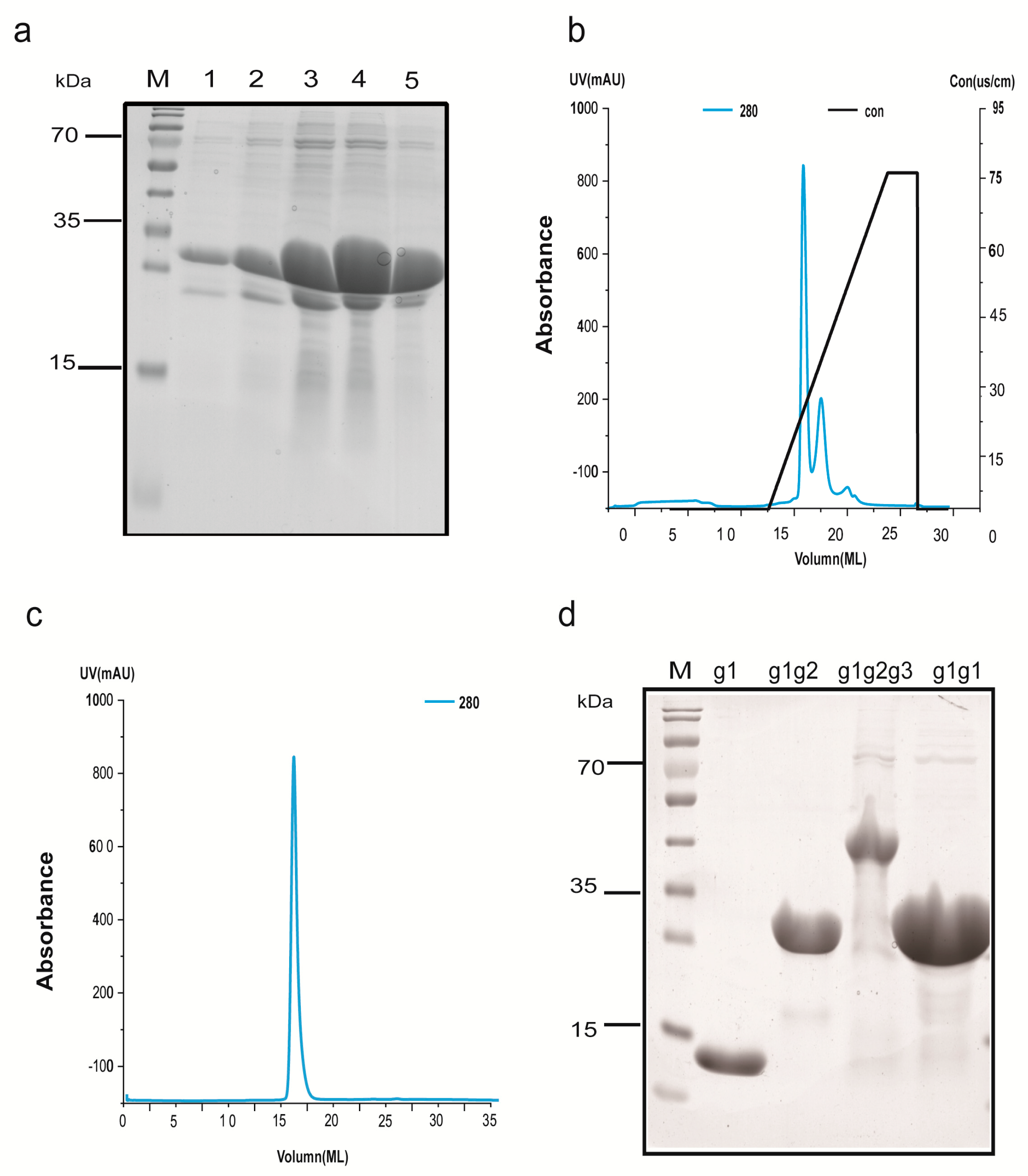 Molecules 23 03281 g003