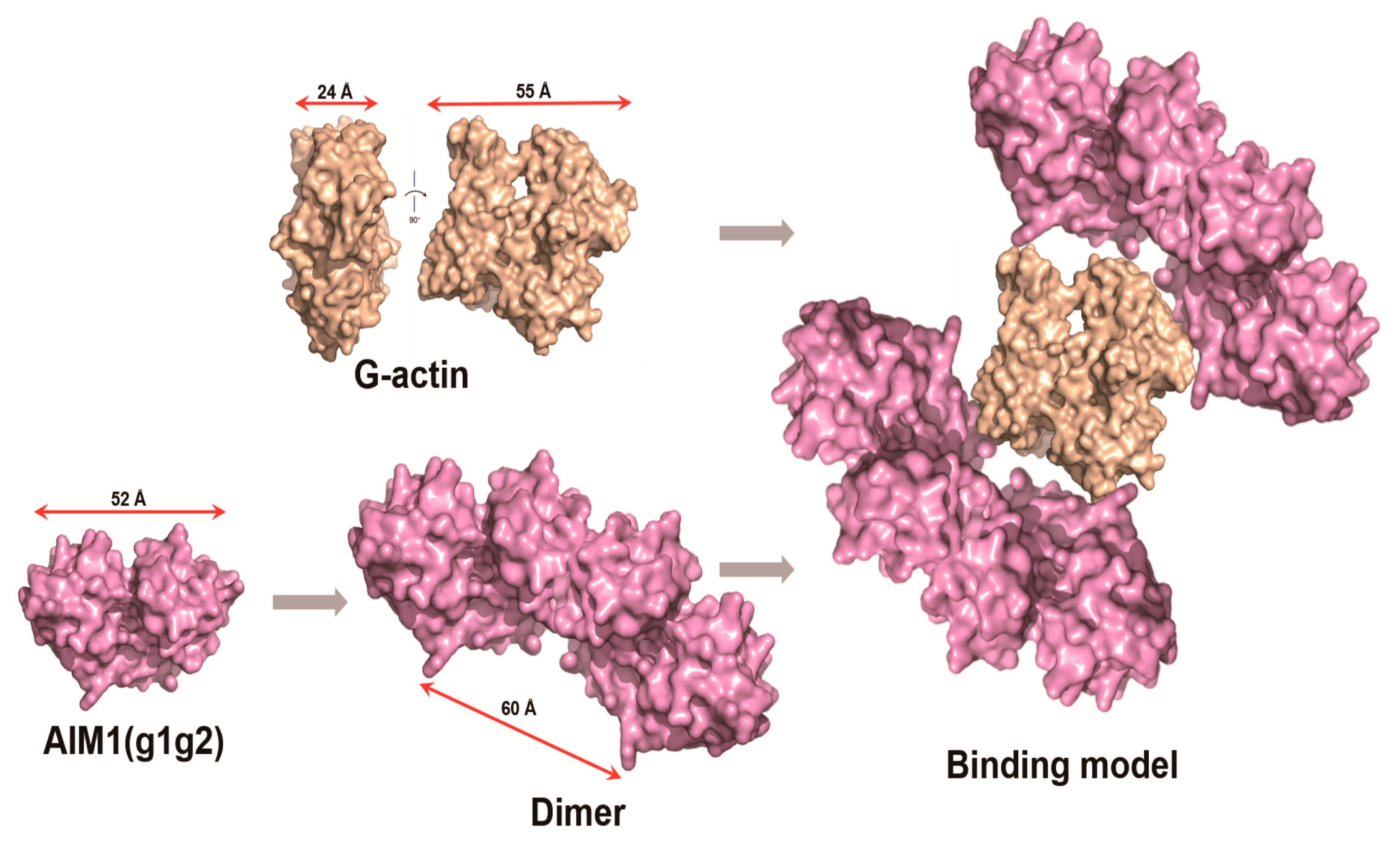 Molecules 23 03281 g005