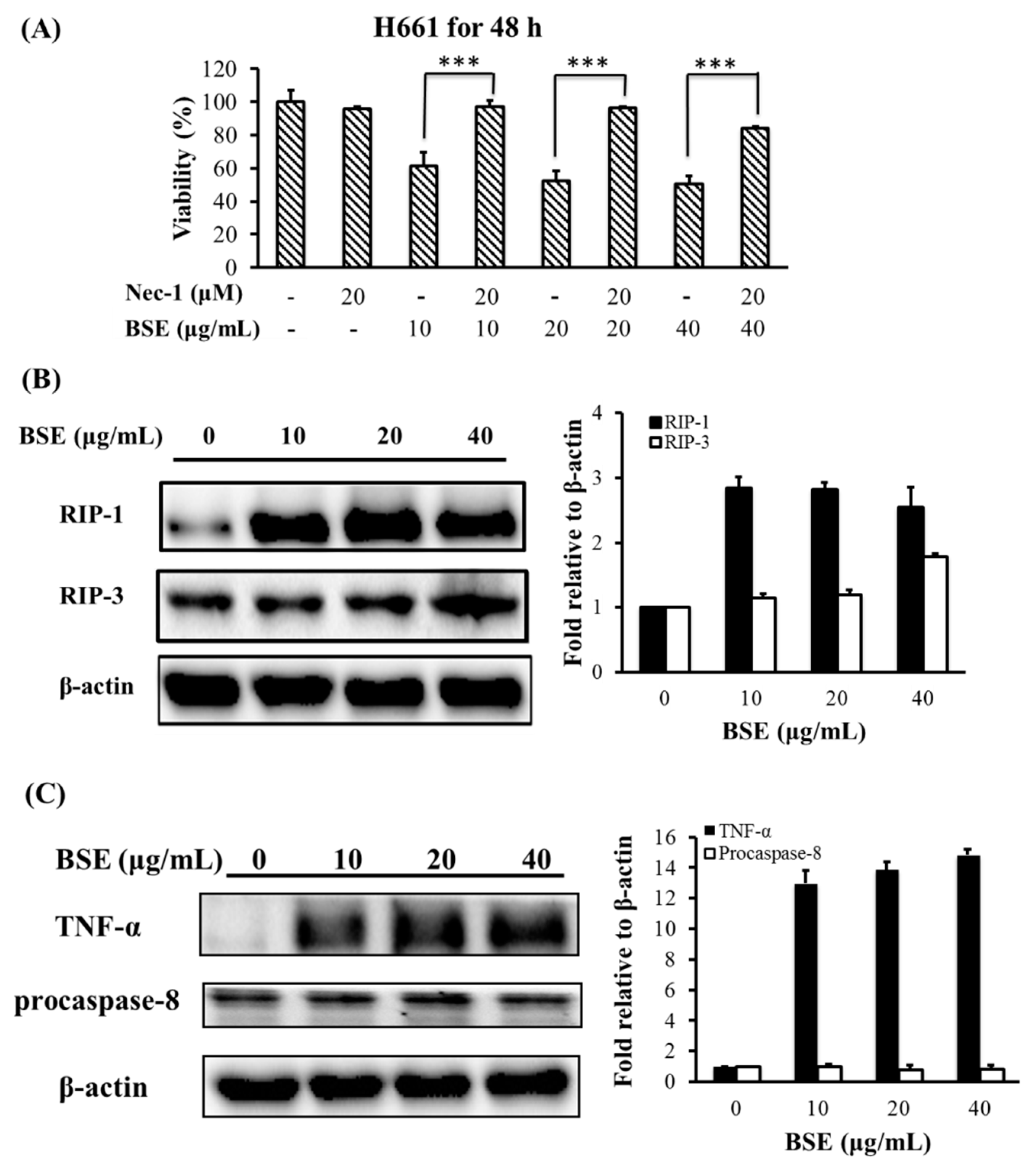 Molecules 23 03304 g005