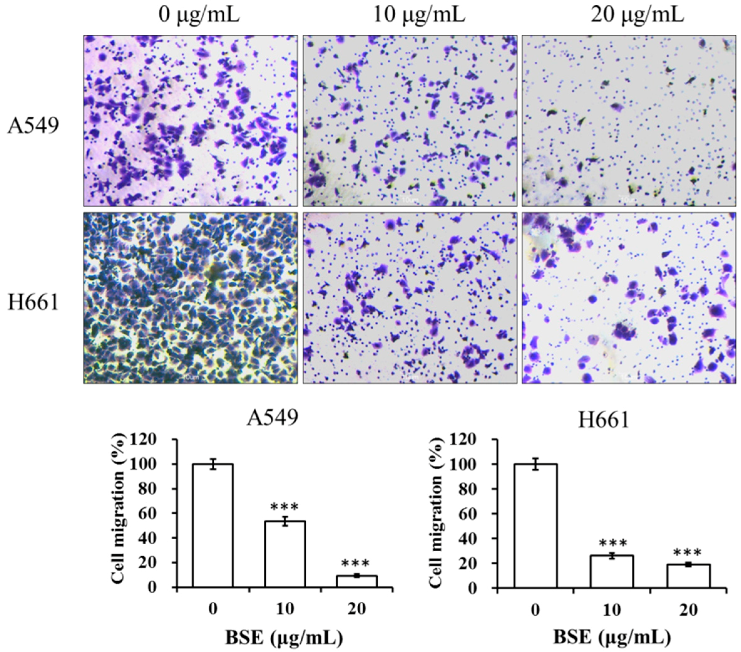 Molecules 23 03304 g007