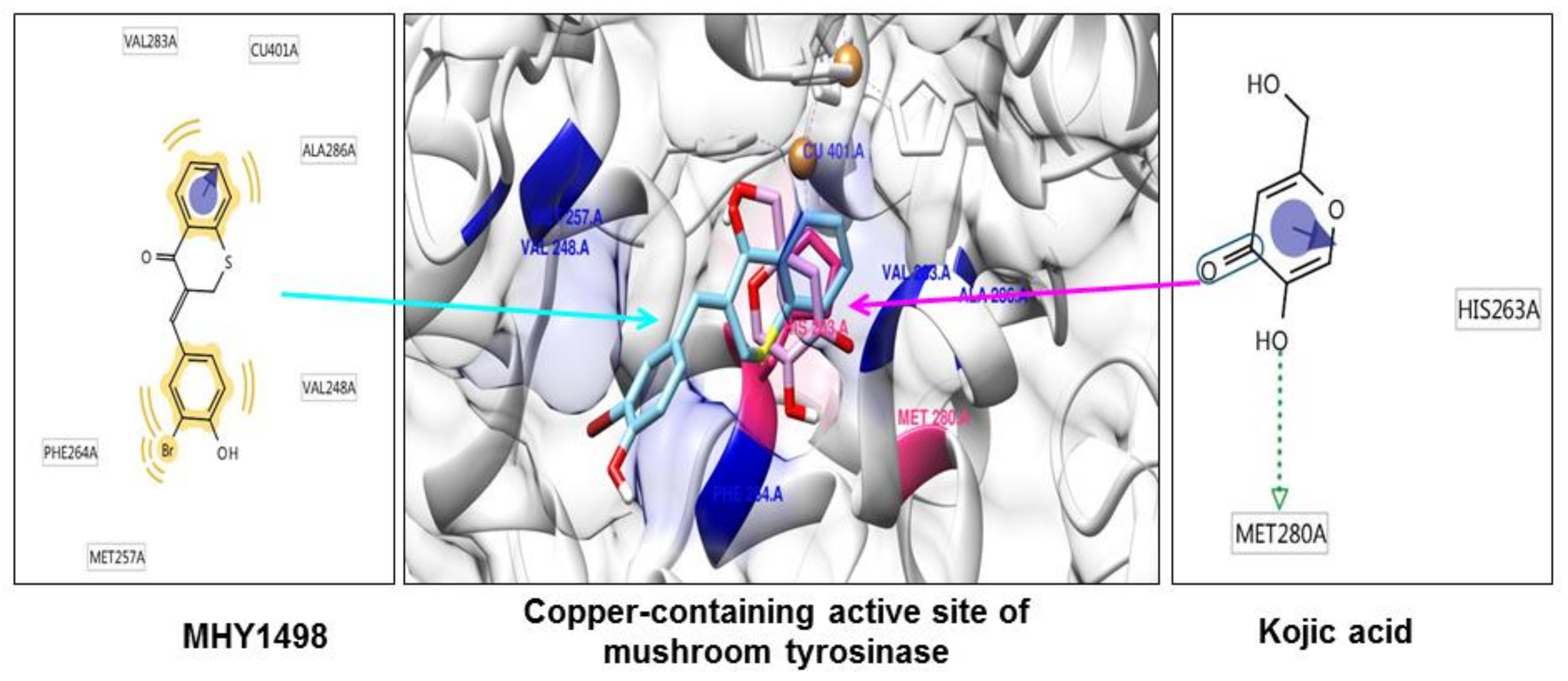 Molecules 23 03307 g004 550
