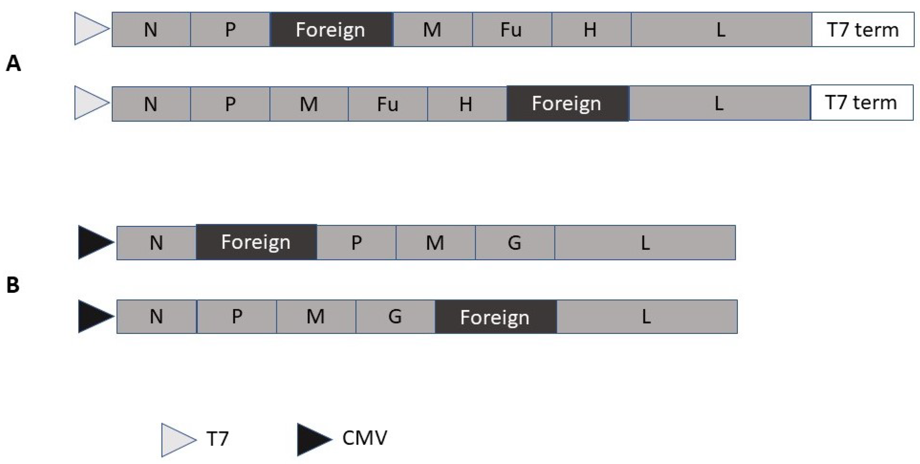Molecules 23 03310 g002 Molecules 23 03310 g002