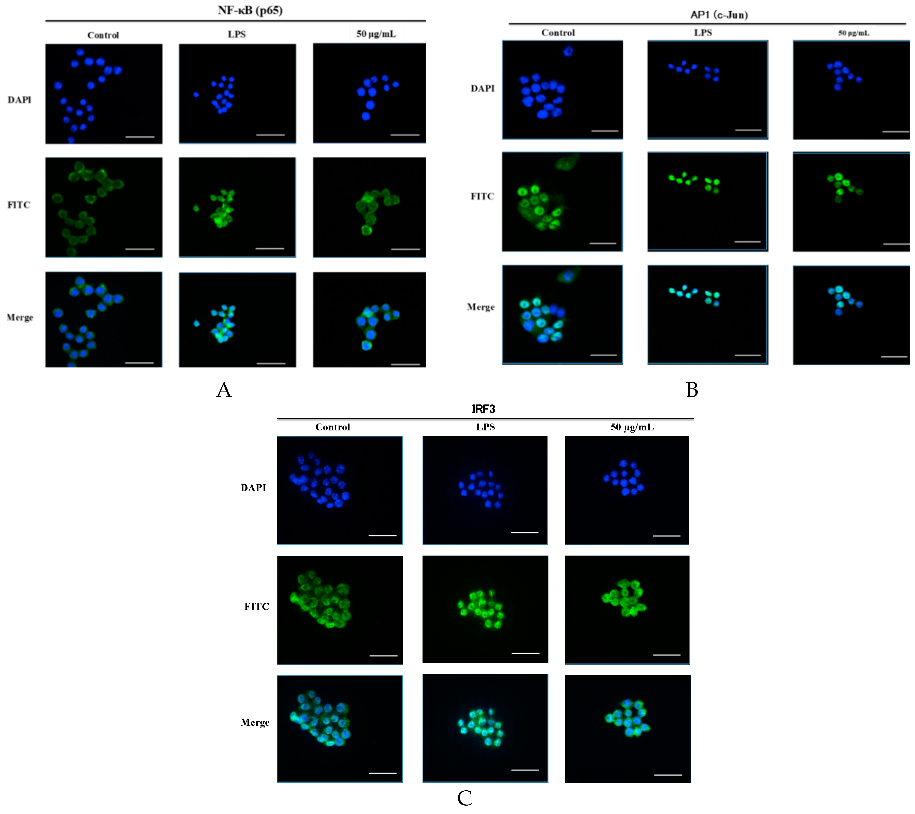 Molecules 23 03319 g008