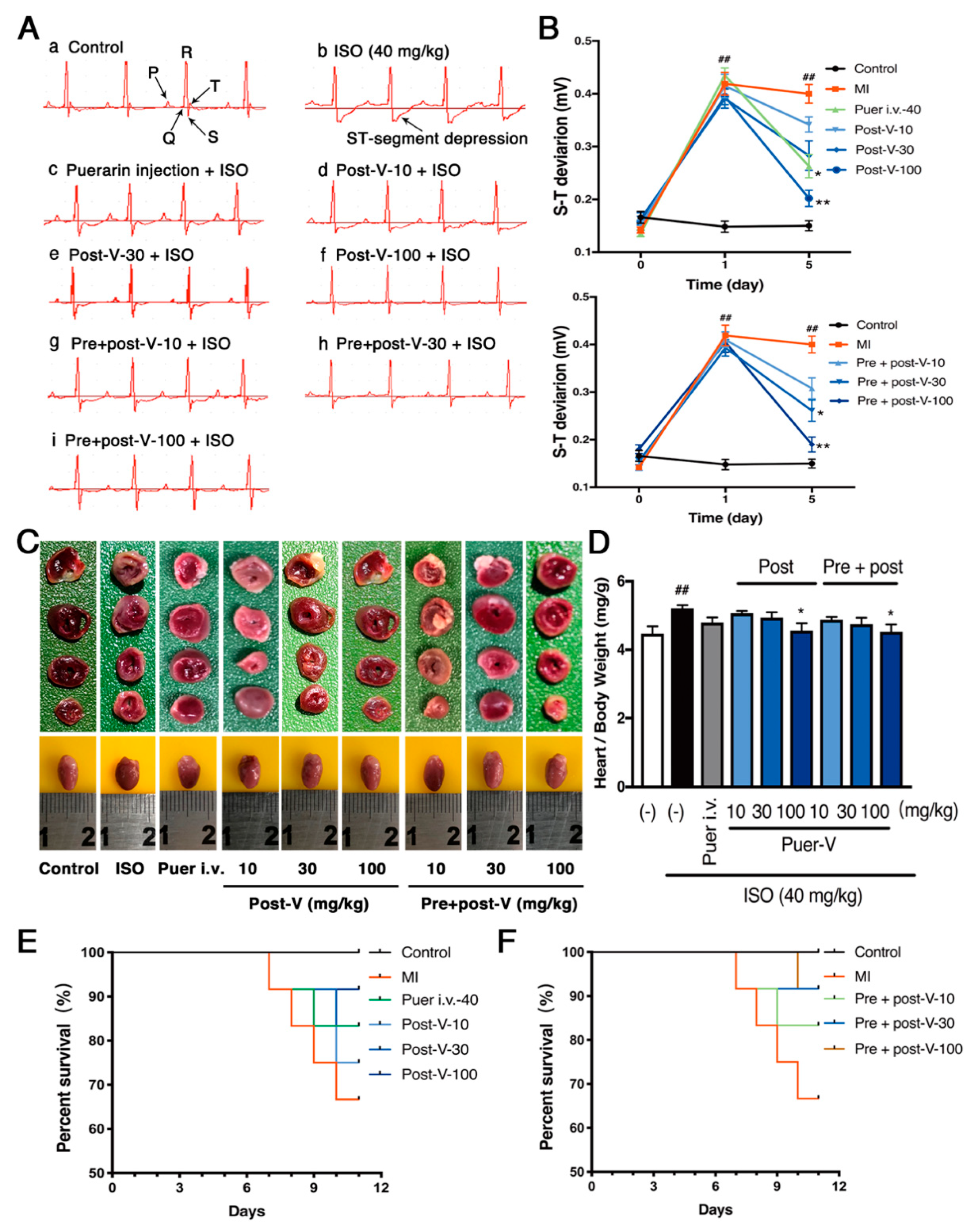 Molecules 23 03322 g002 Molecules 23 03322 g002