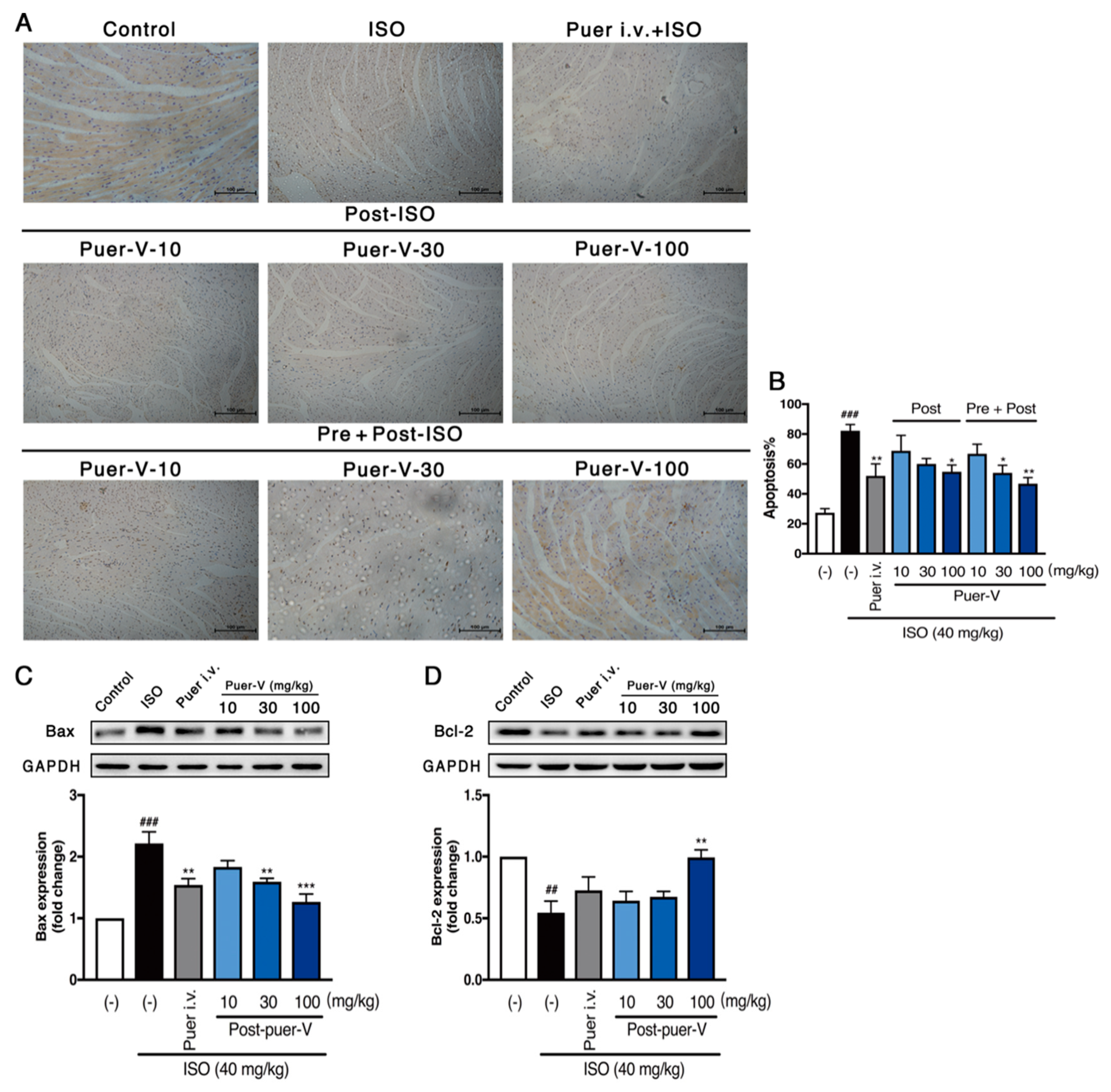 Molecules 23 03322 g005 Molecules 23 03322 g005
