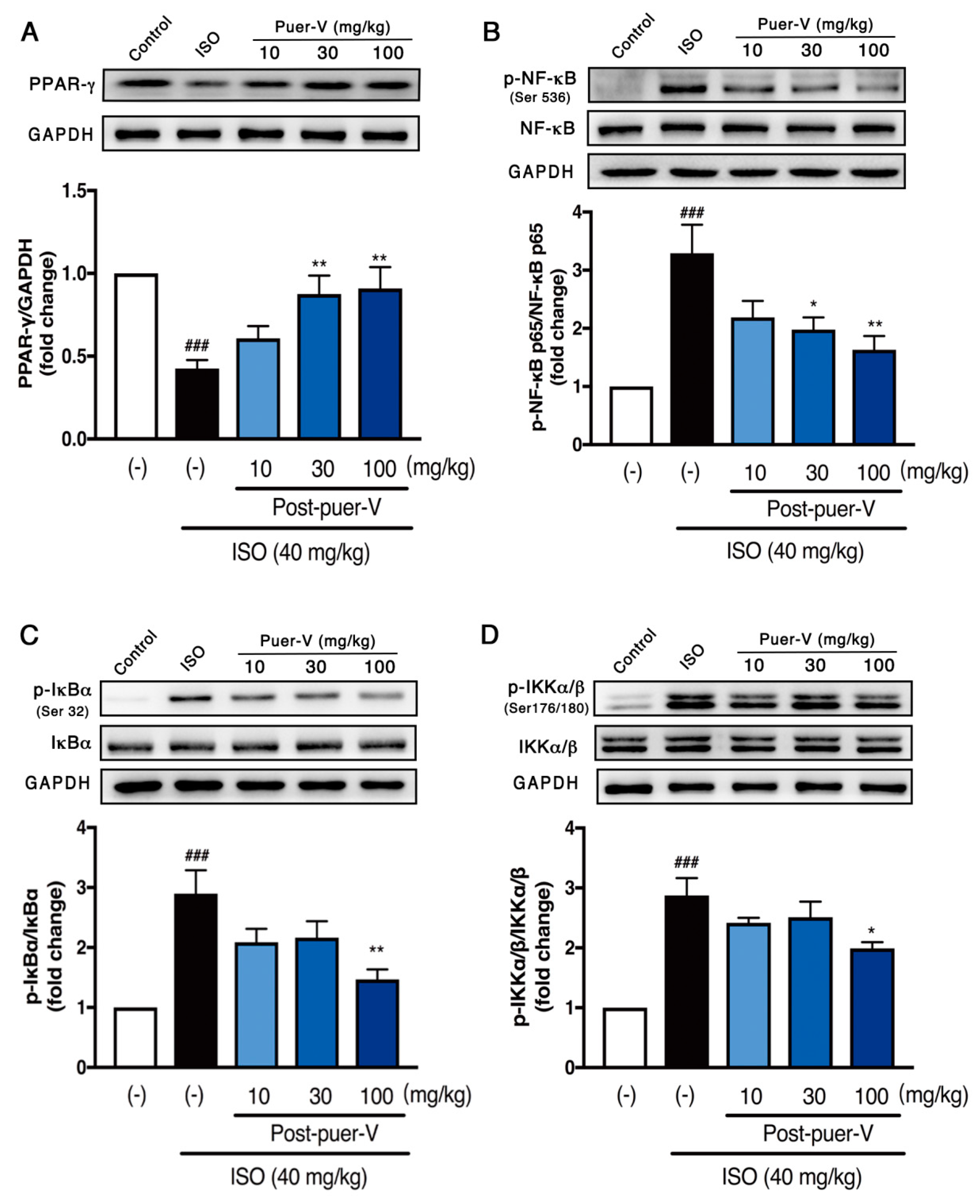 Molecules 23 03322 g006 Molecules 23 03322 g006