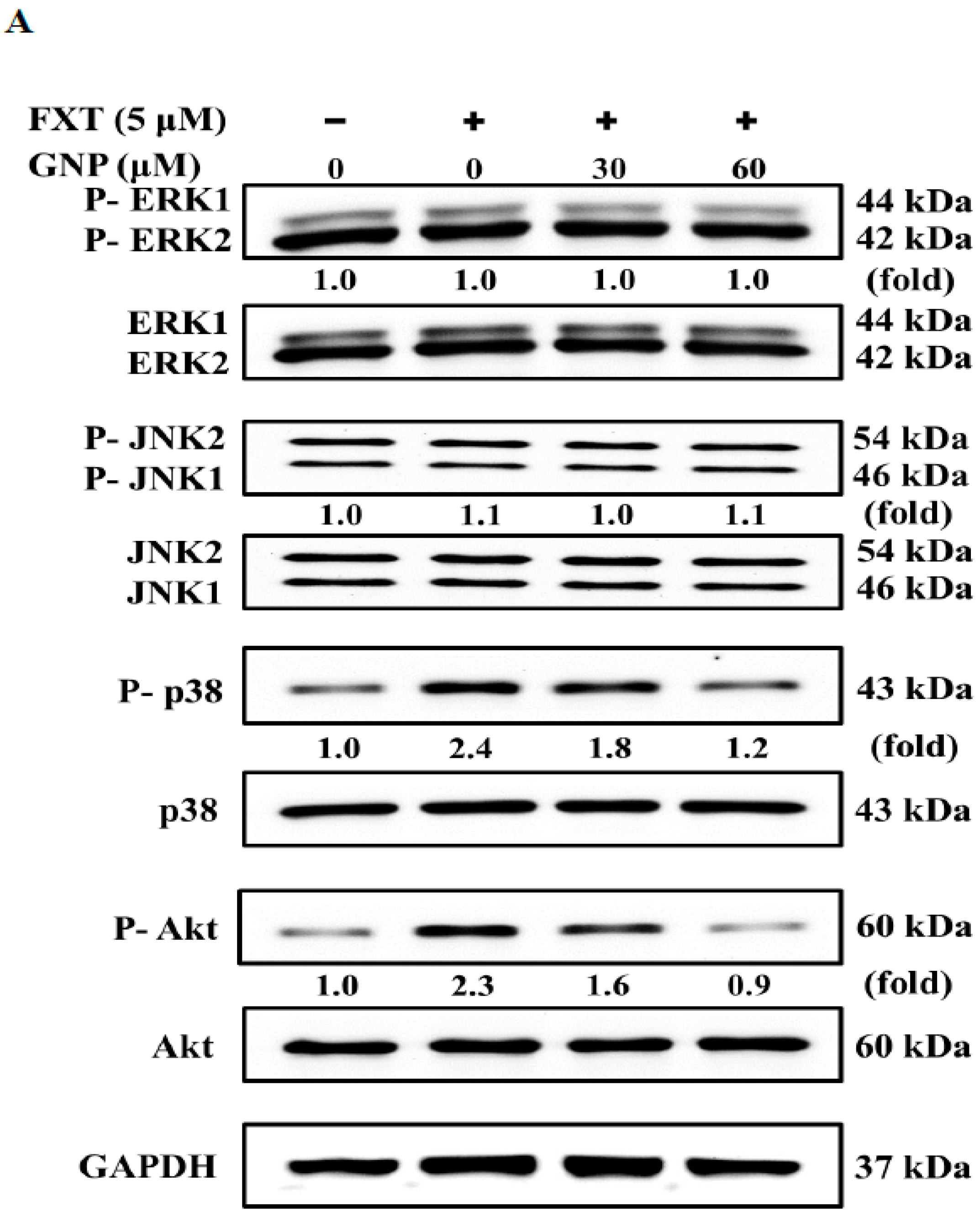 Molecules 23 03327 g007a
