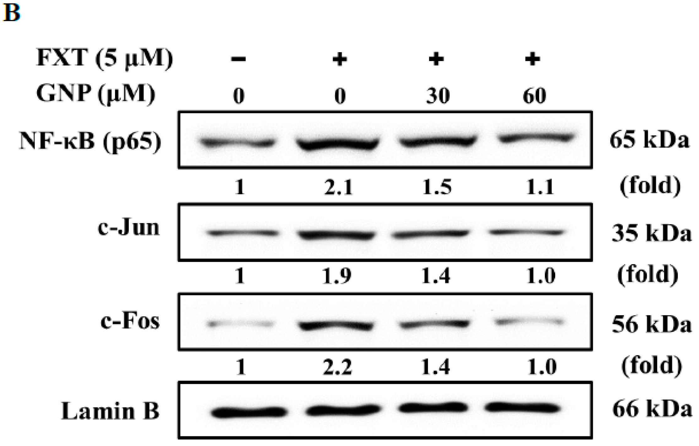 Molecules 23 03327 g007b