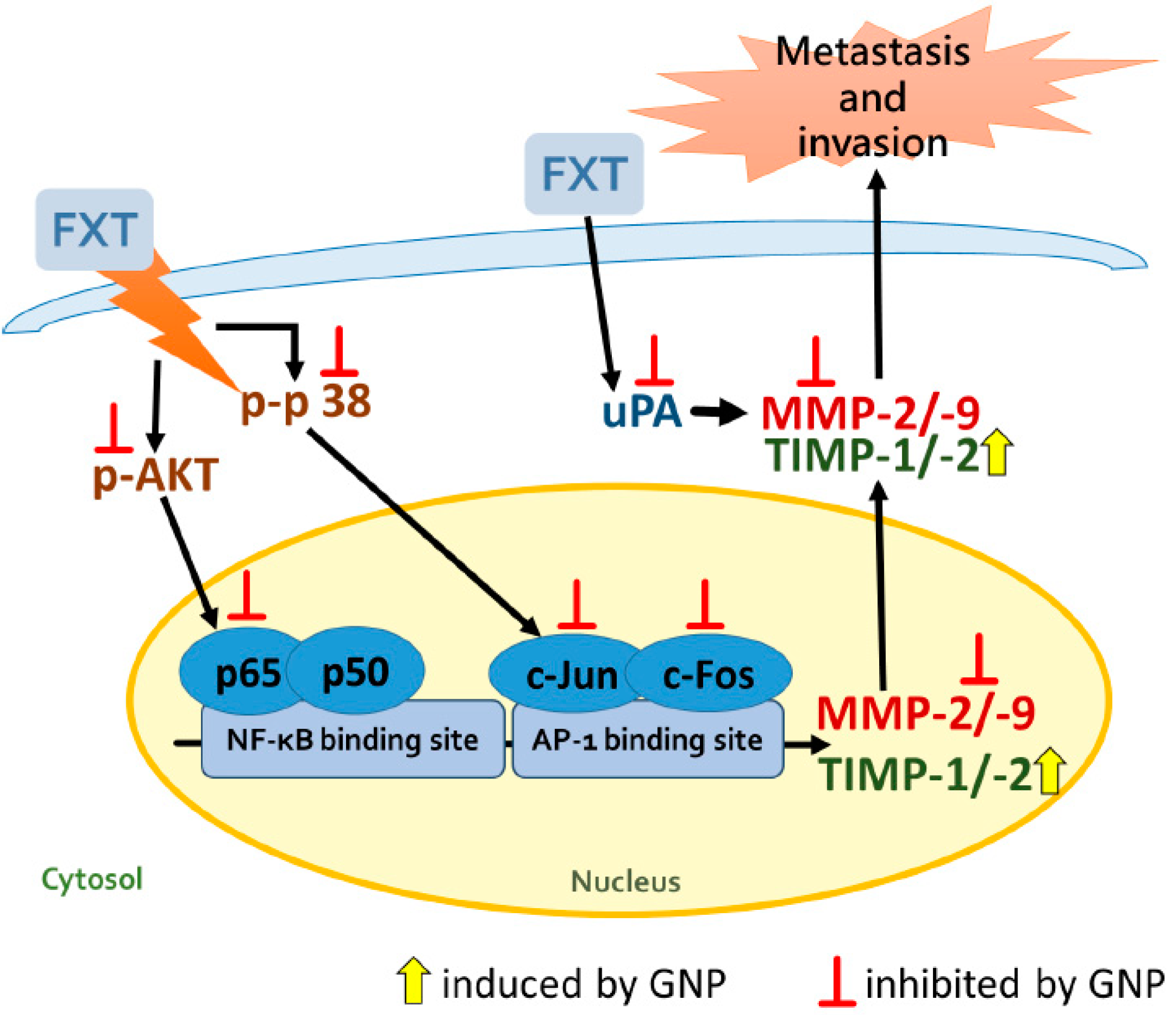 Molecules 23 03327 g008