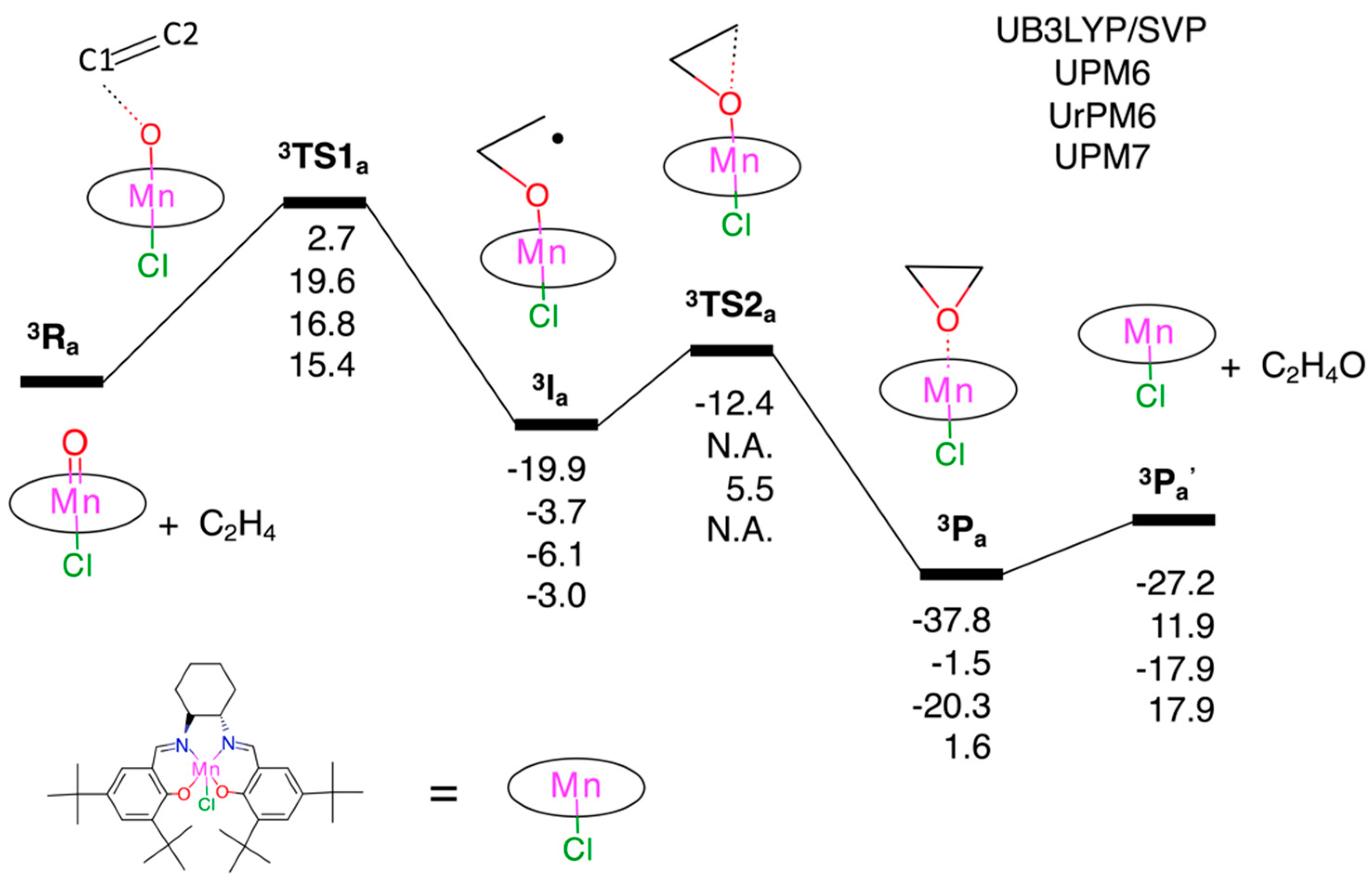 Molecules 23 03332 g002 Molecules 23 03332 g002