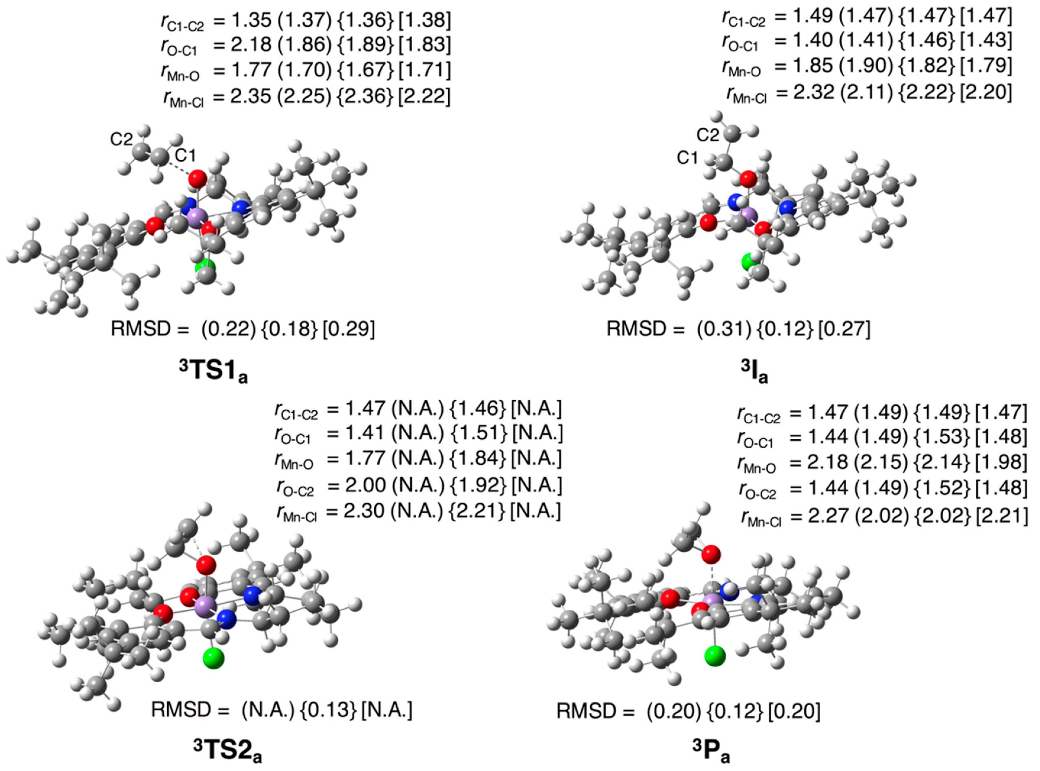 Molecules 23 03332 g003 Molecules 23 03332 g003