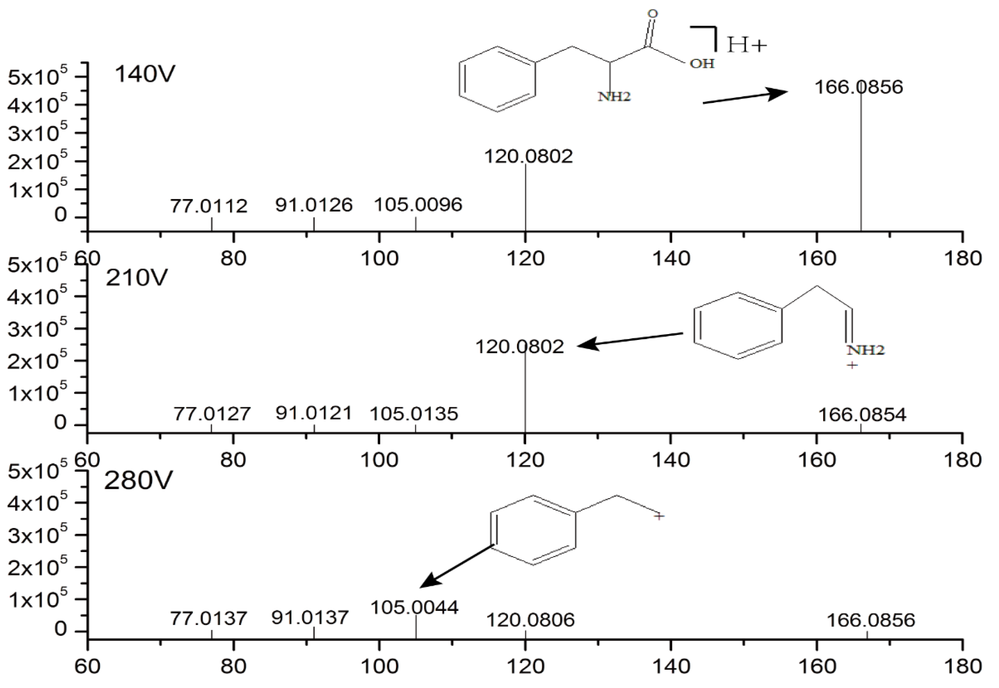Molecules 23 03333 g003 Molecules 23 03333 g003