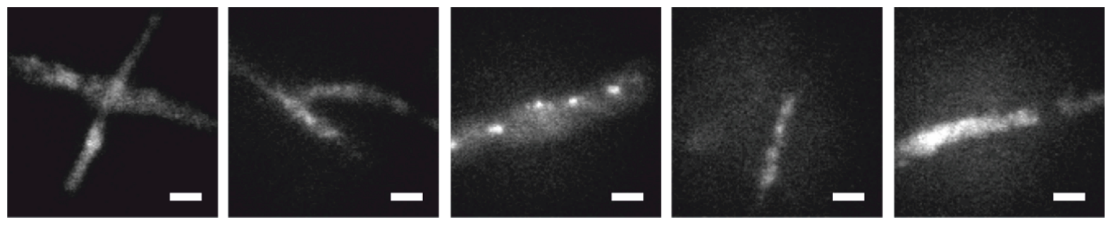 Molecules 23 03338 g003