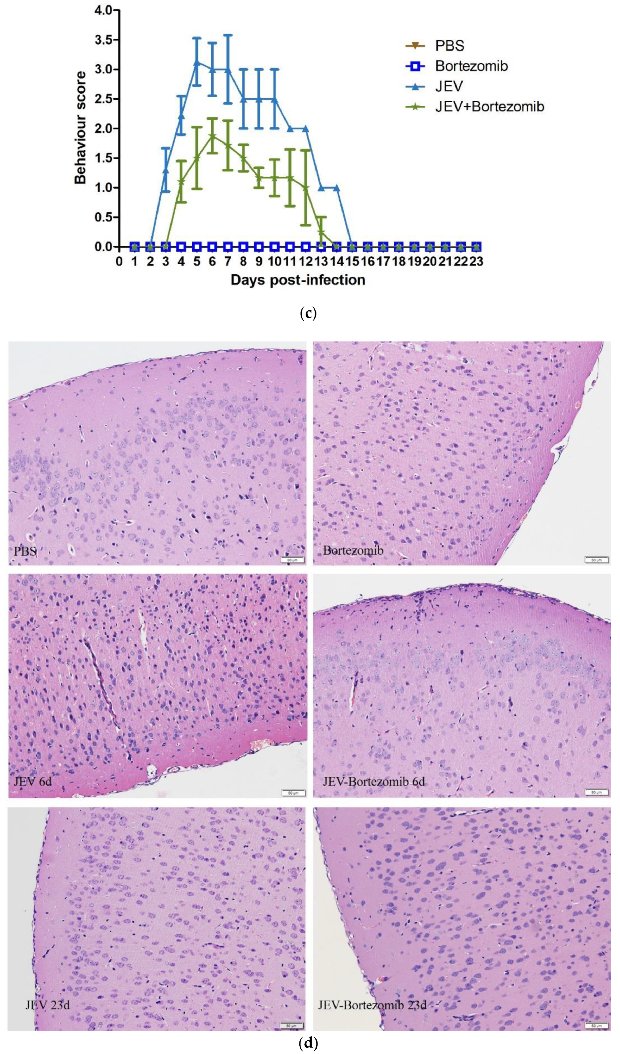 Molecules 23 03346 g005b