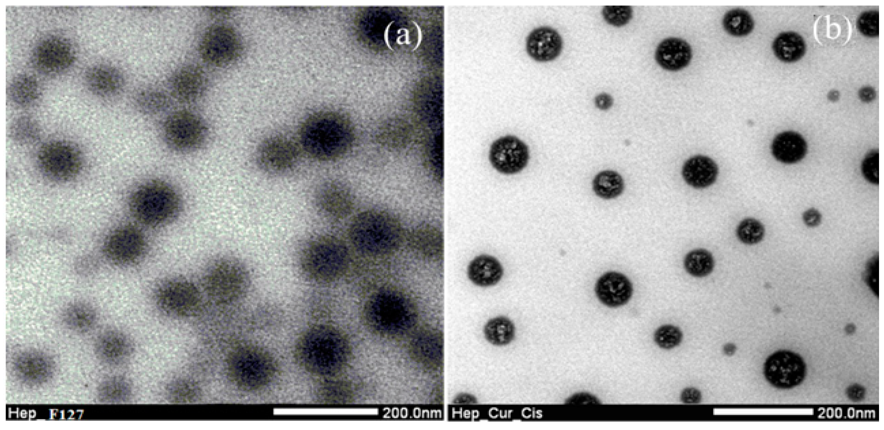 Molecules 23 03347 g003