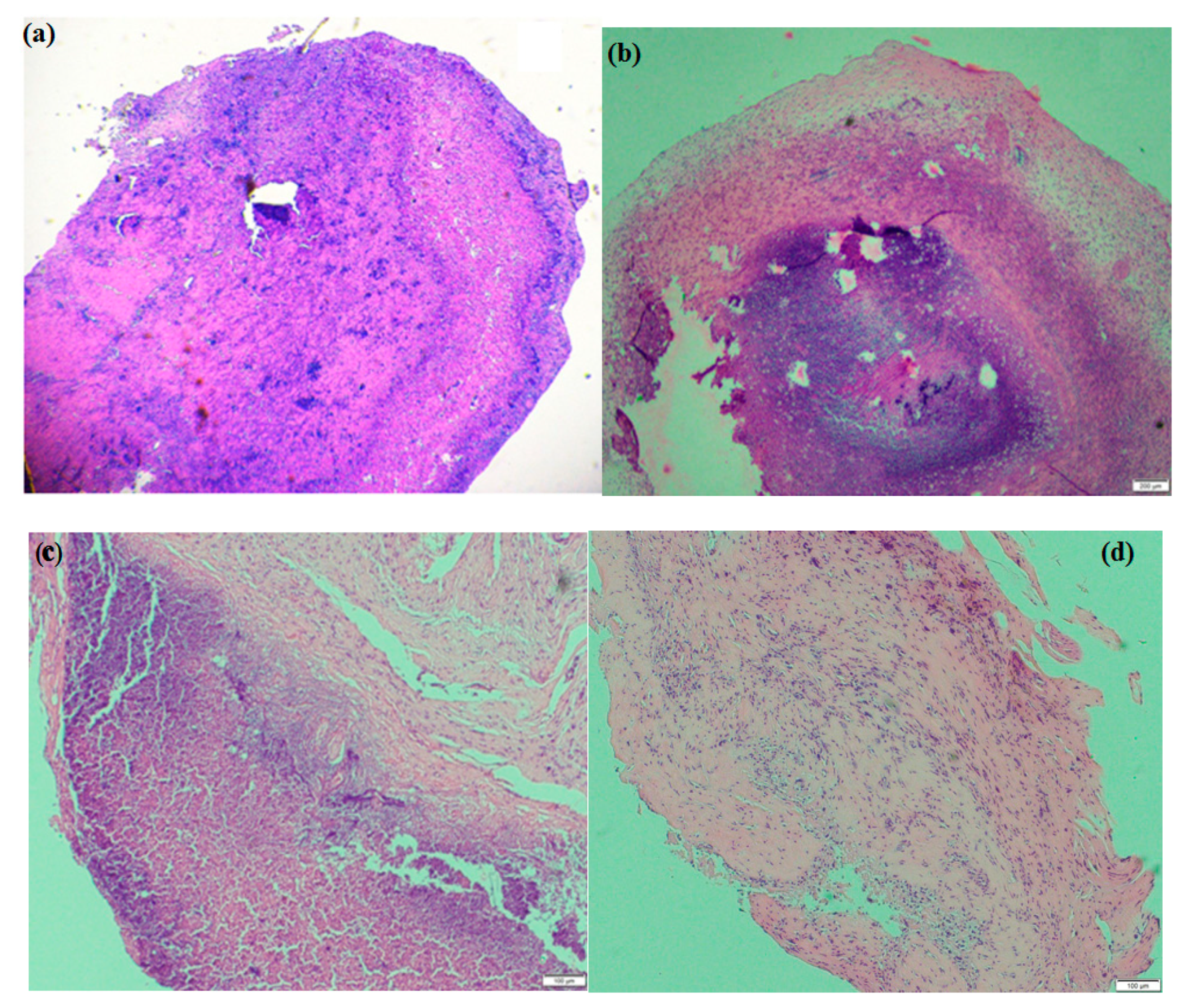 Molecules 23 03347 g009