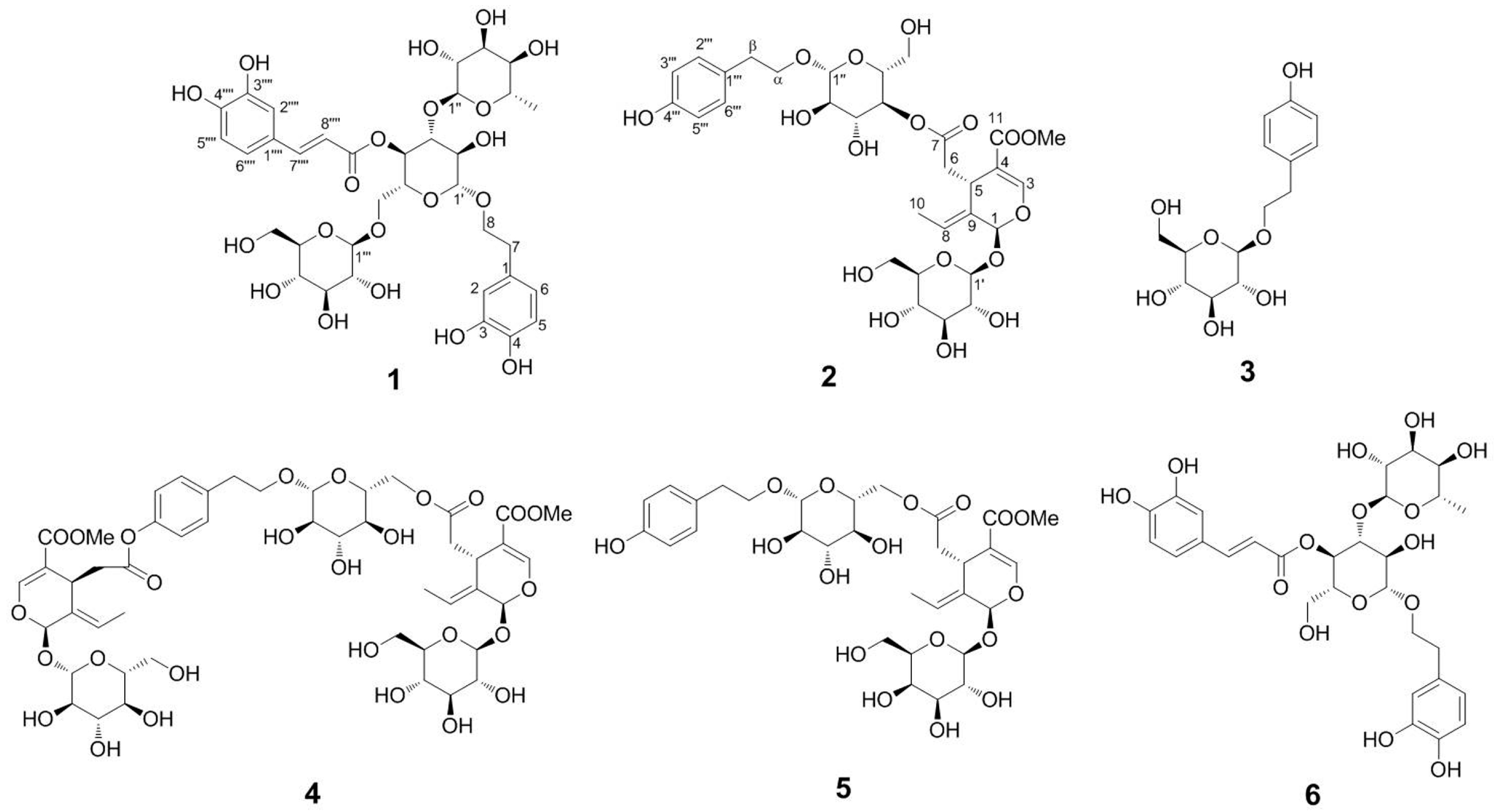 Molecules 23 03353 g001