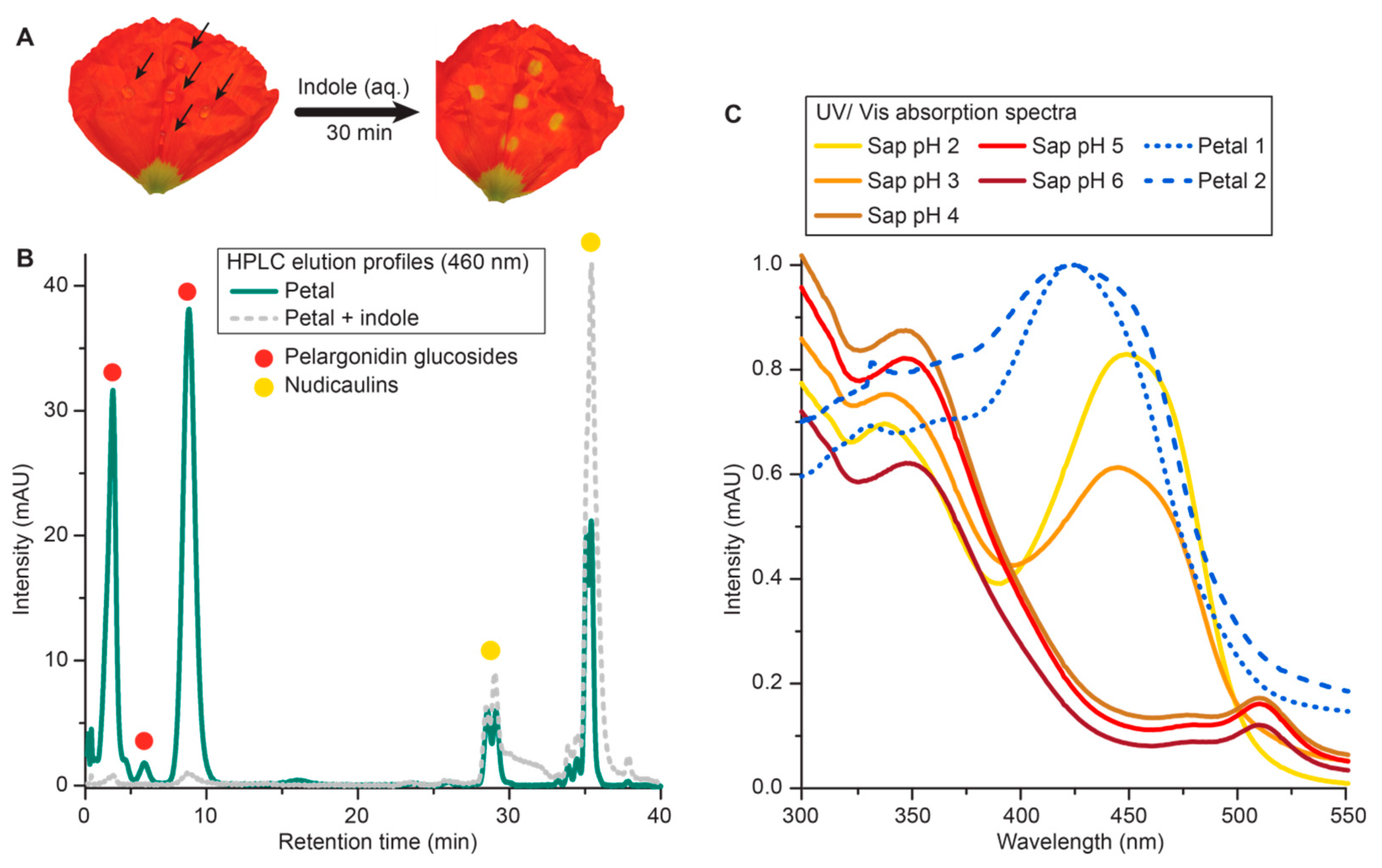 Molecules 23 03357 g002 Molecules 23 03357 g002