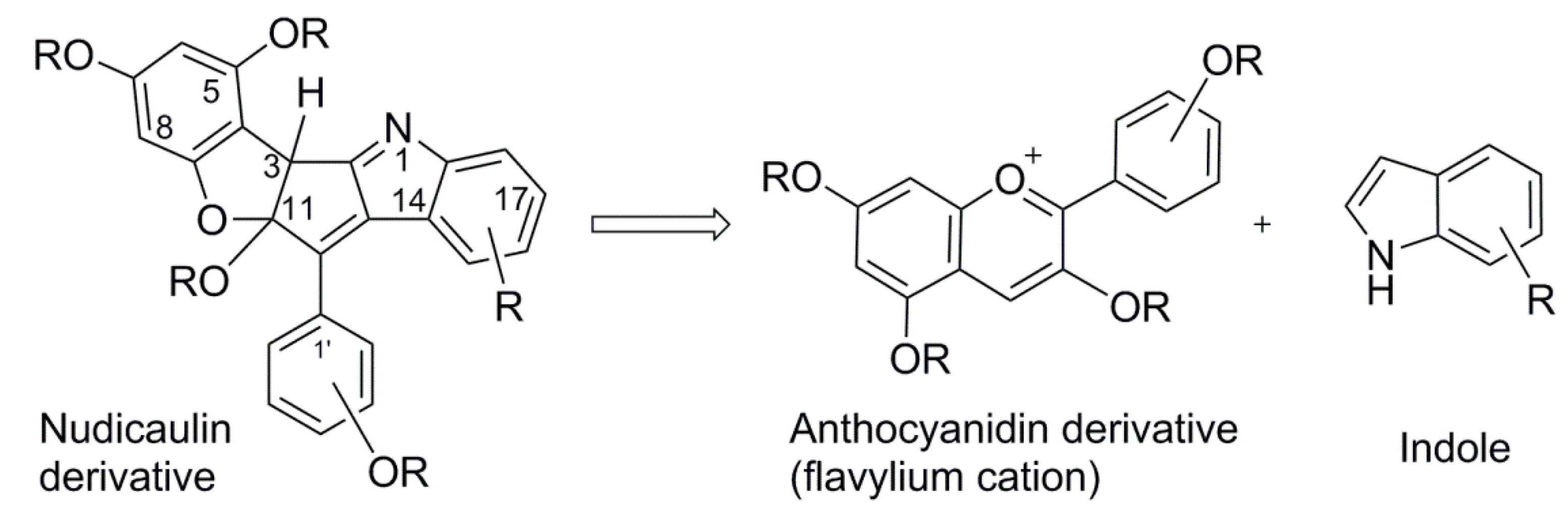 Molecules 23 03357 sch001 Molecules 23 03357 sch001