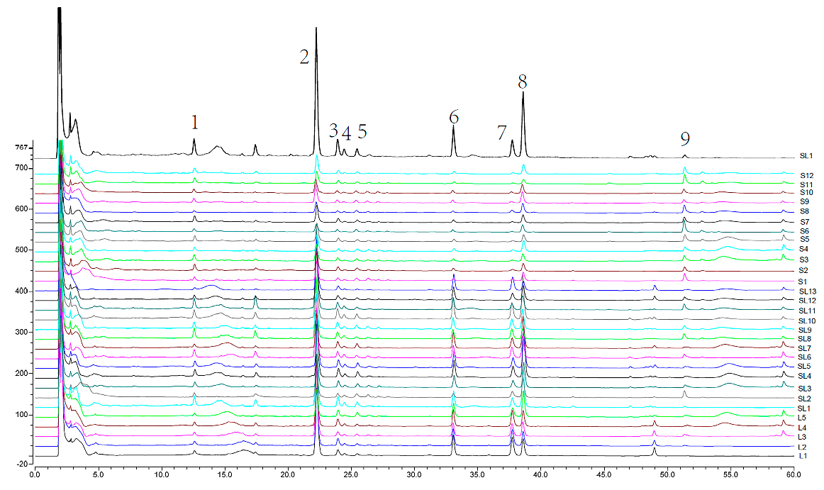 Molecules 23 03362 g003