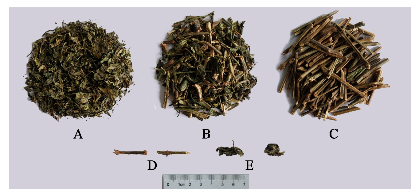 Molecules 23 03362 g005