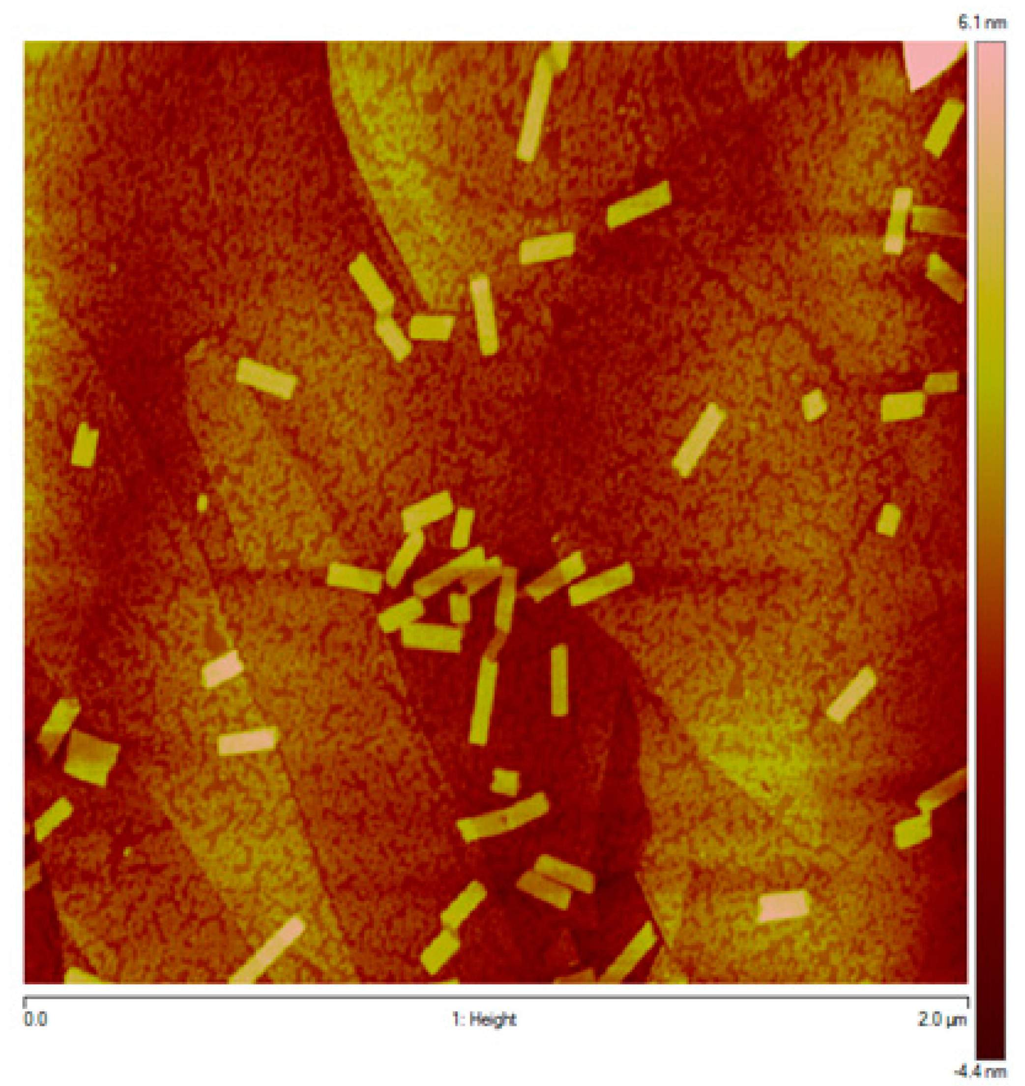 Molecules 23 03363 g004