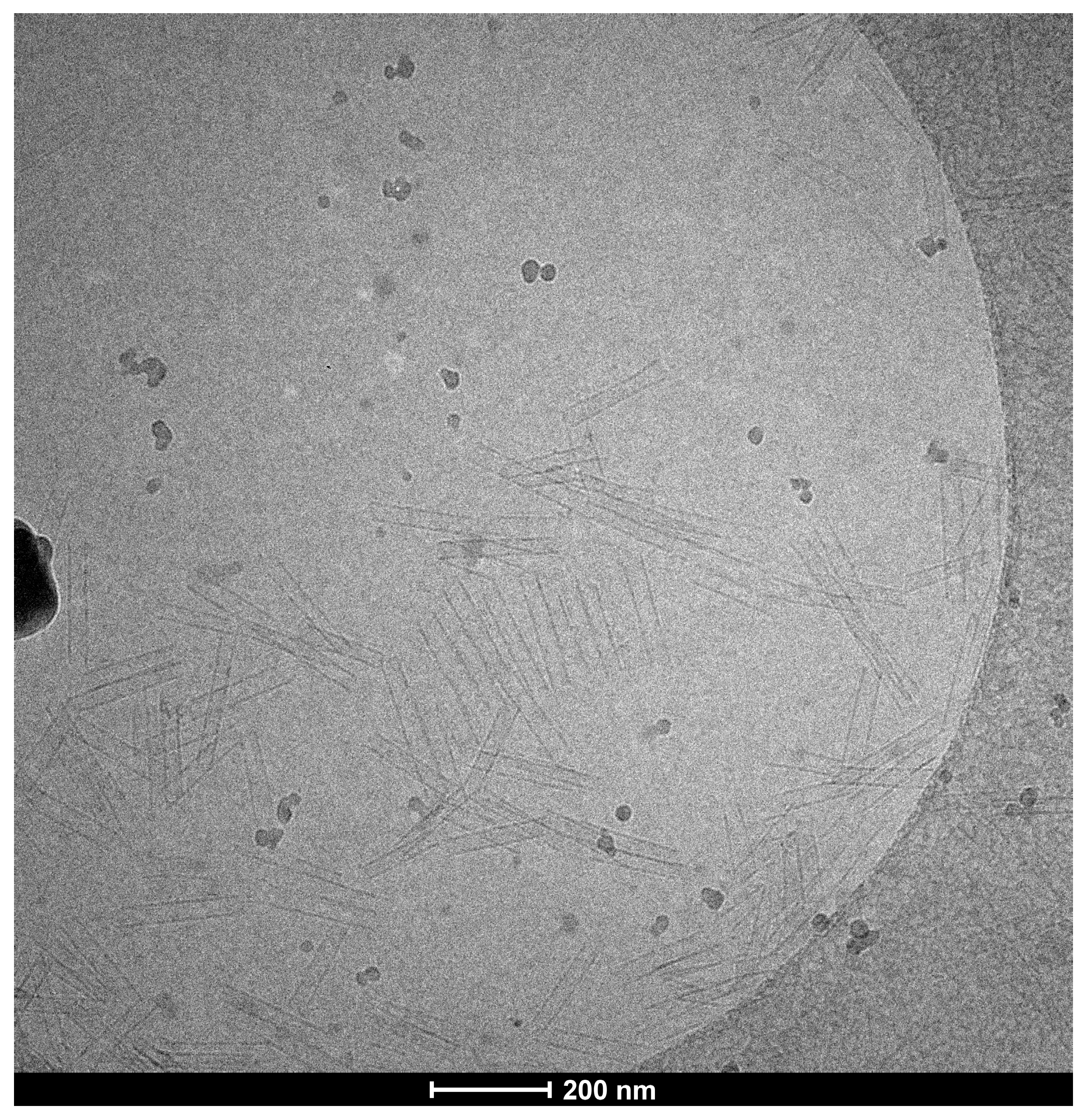Molecules 23 03363 g005