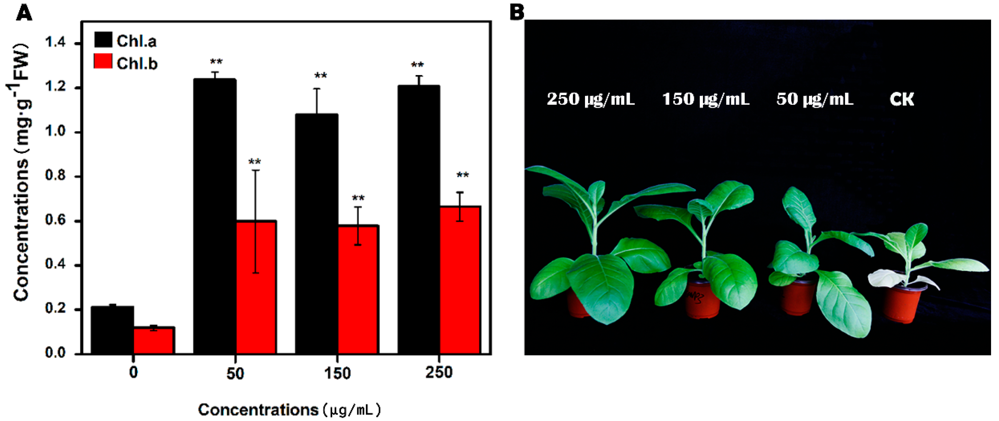 Molecules 23 03375 g002 Molecules 23 03375 g002