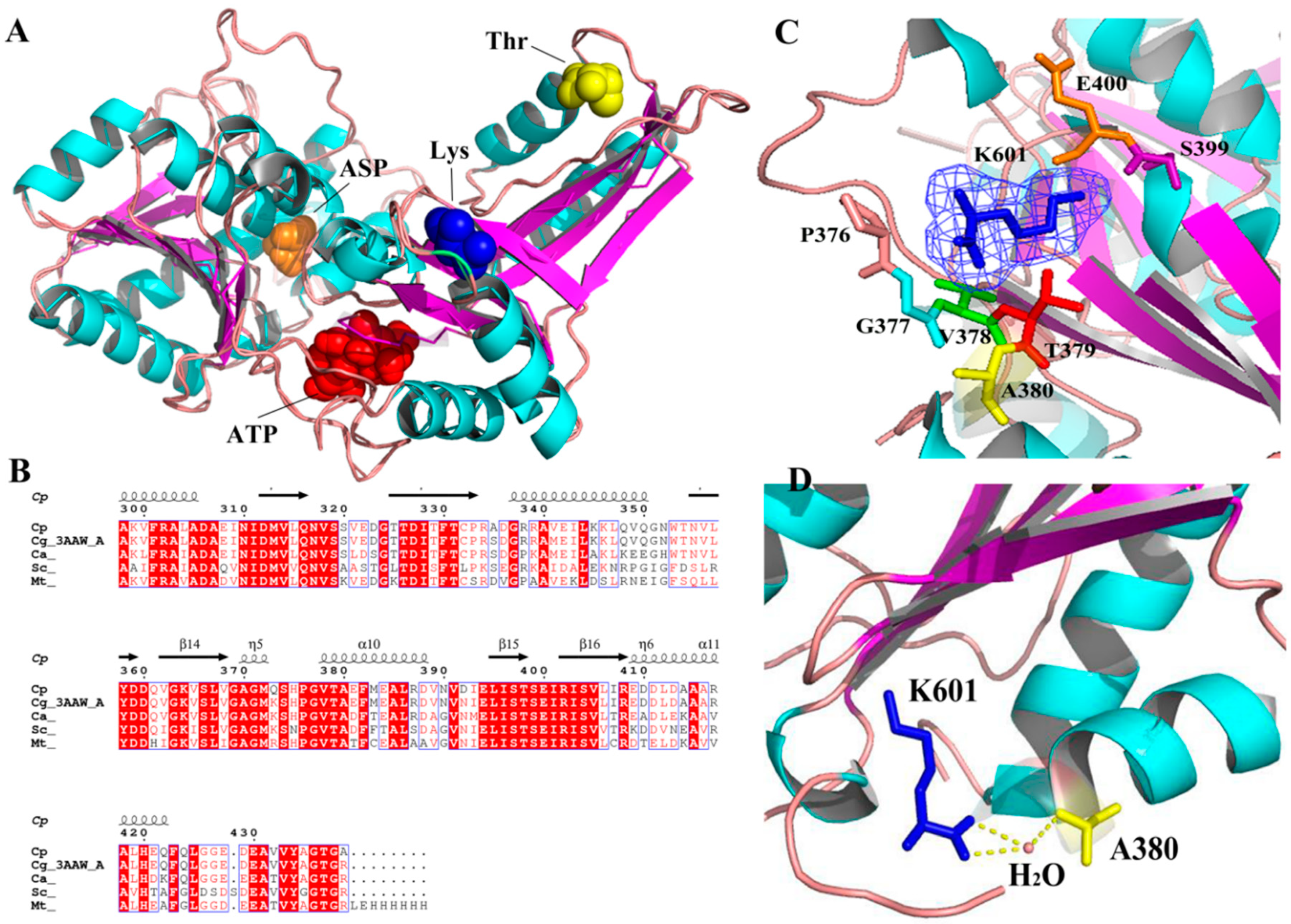 Molecules 23 03379 g001 Molecules 23 03379 g001