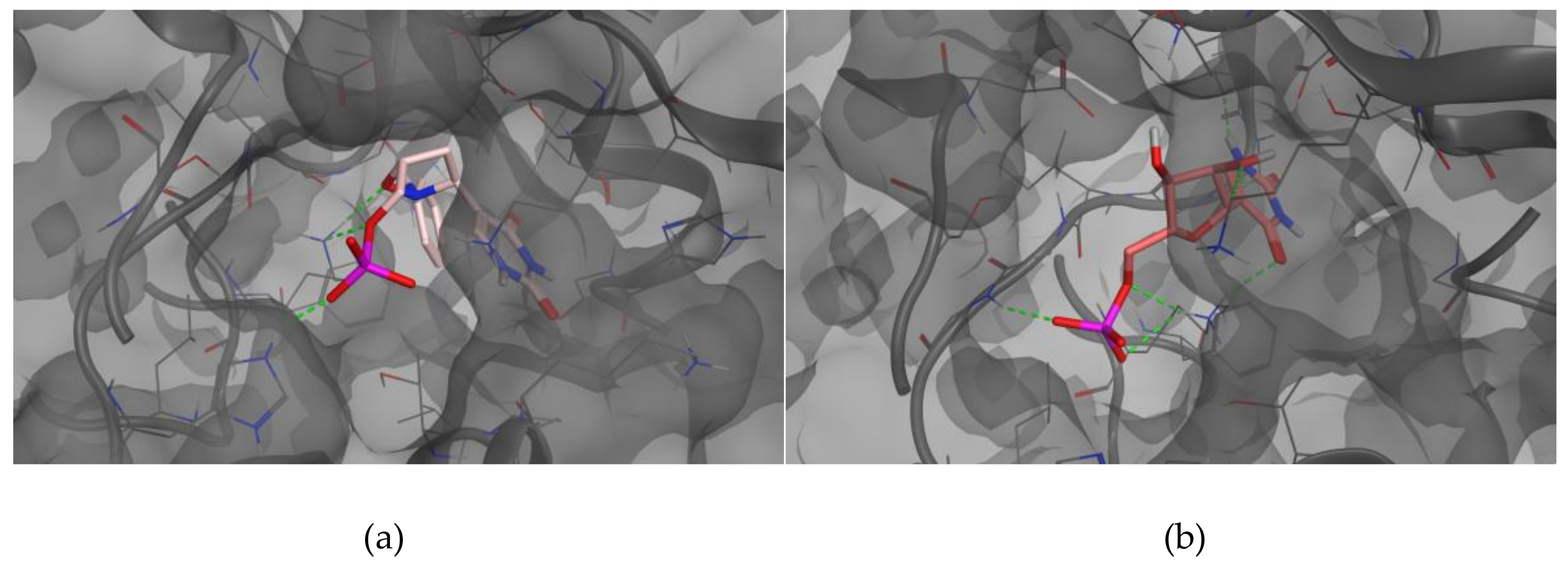 Molecules 23 03381 g002