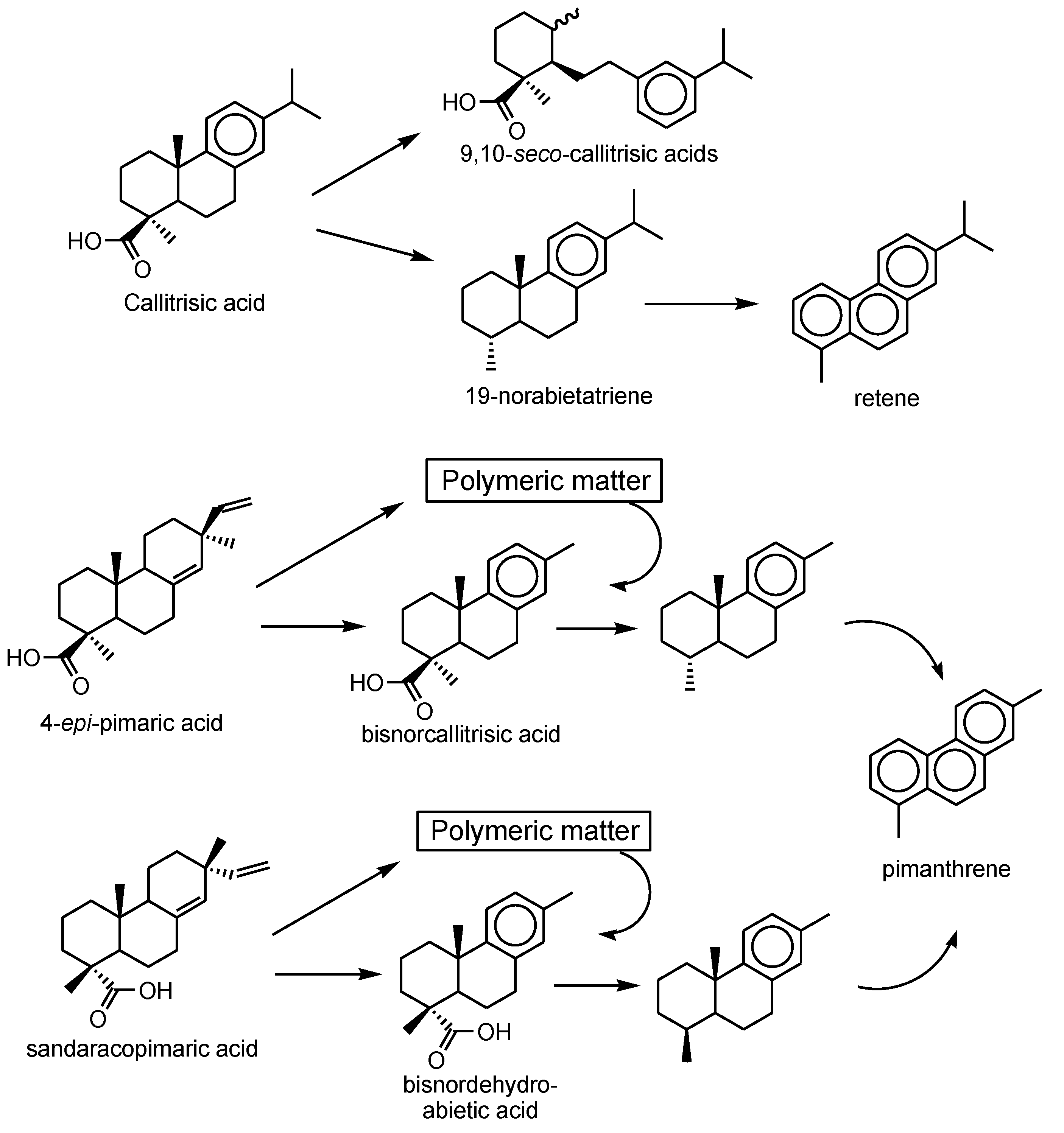 Molecules 23 03384 g003
