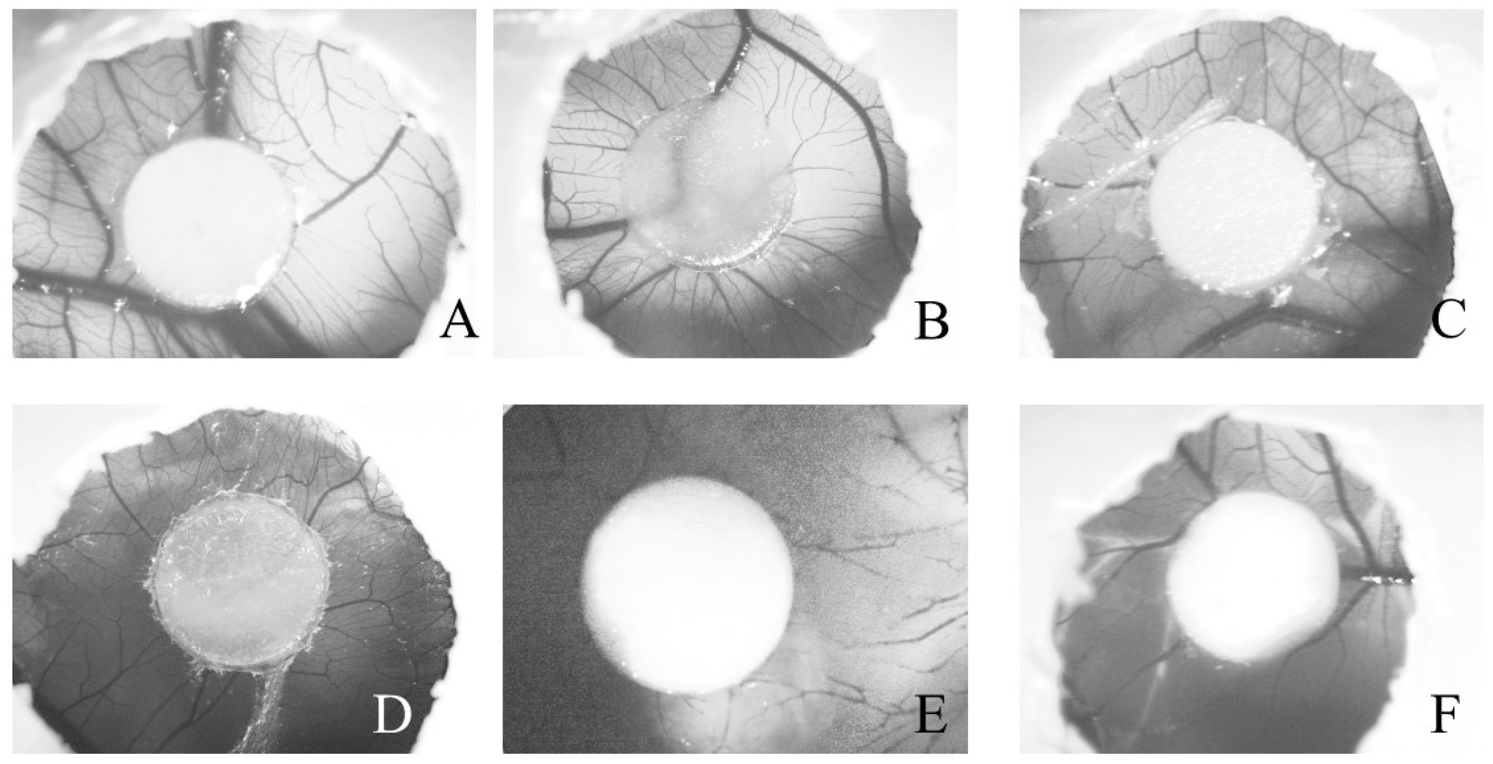 Molecules 24 00002 g006 Molecules 24 00002 g006